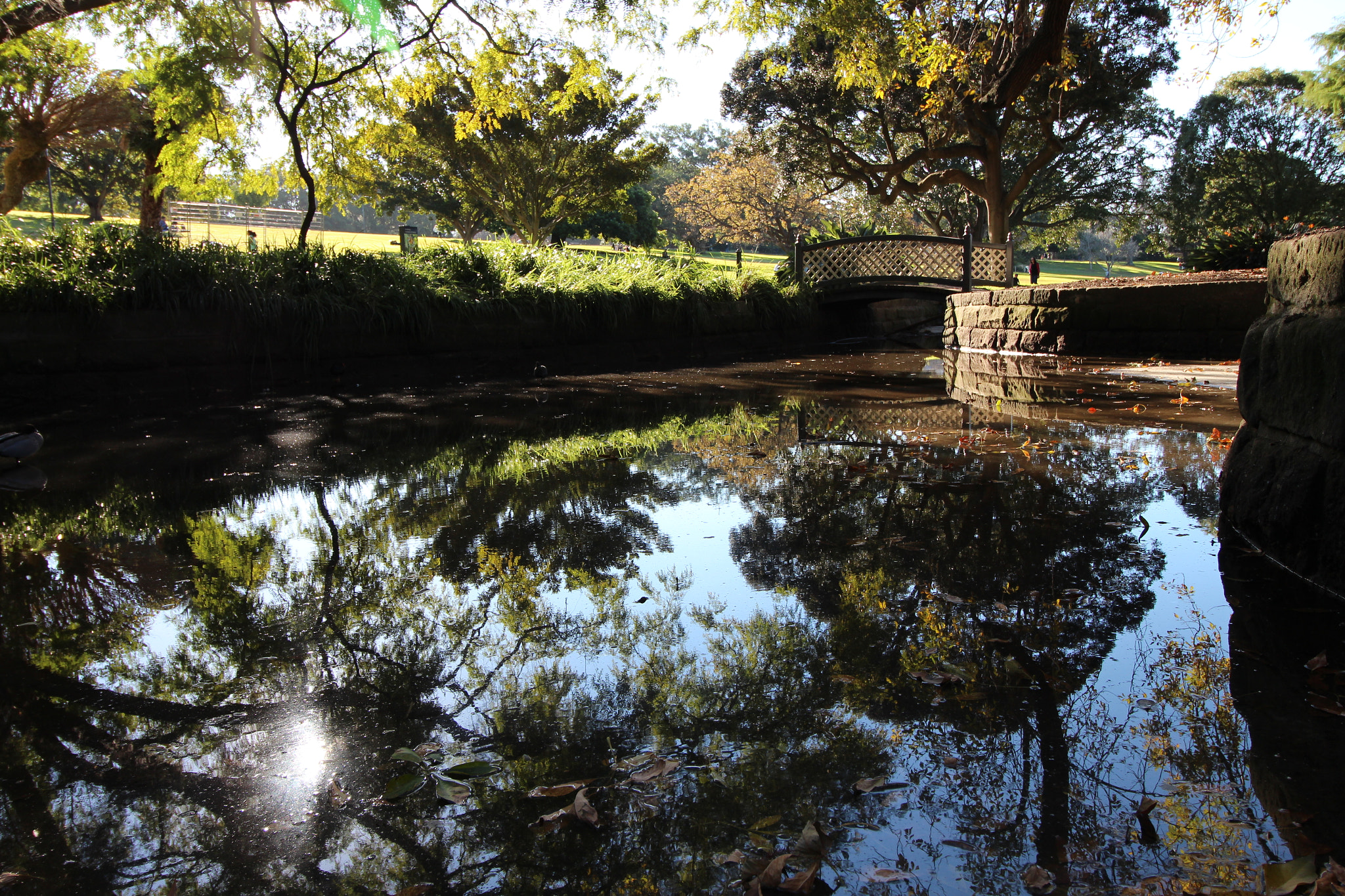 Canon EOS 650D (EOS Rebel T4i / EOS Kiss X6i) + Canon EF-S 10-18mm F4.5–5.6 IS STM sample photo. Glistening water photography