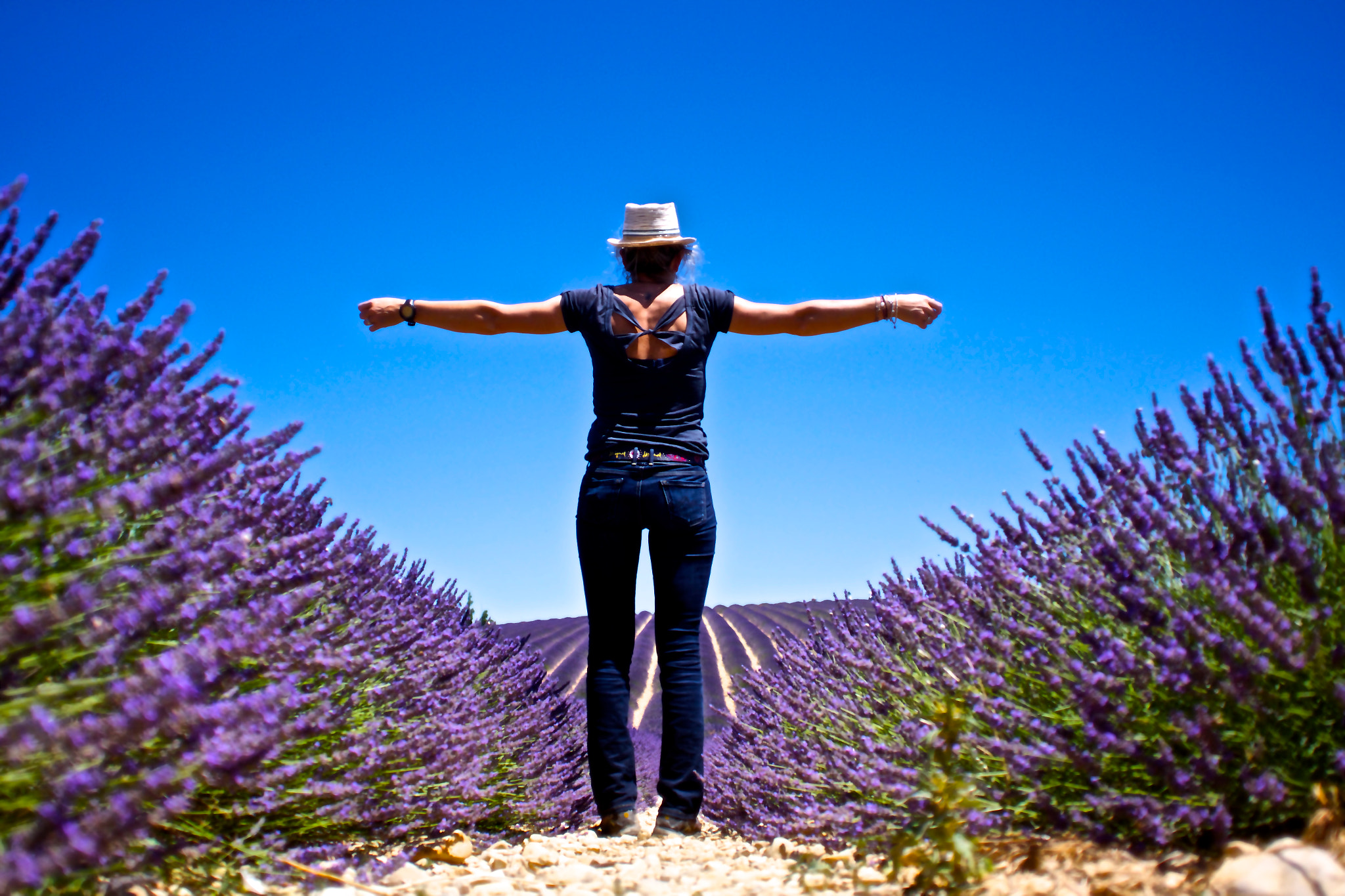 Sony SLT-A65 (SLT-A65V) + Sony 20mm F2.8 sample photo. Valensole photography