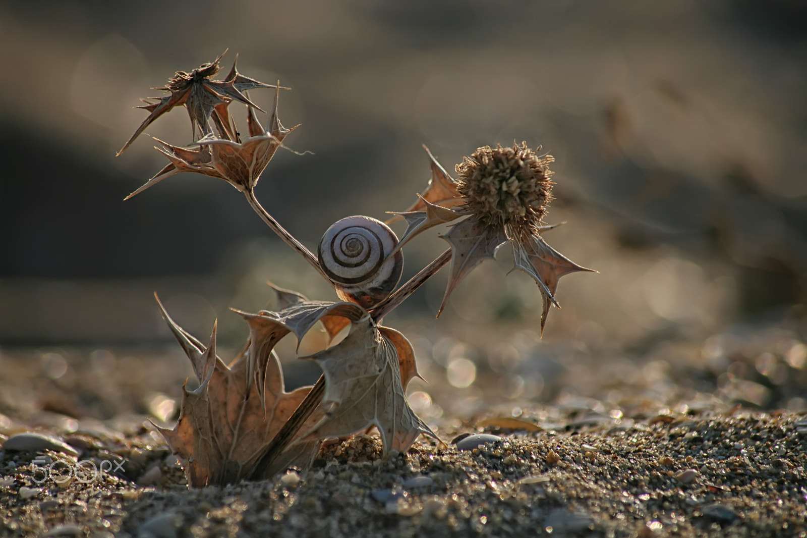 Canon EOS 5D sample photo. X@ photography
