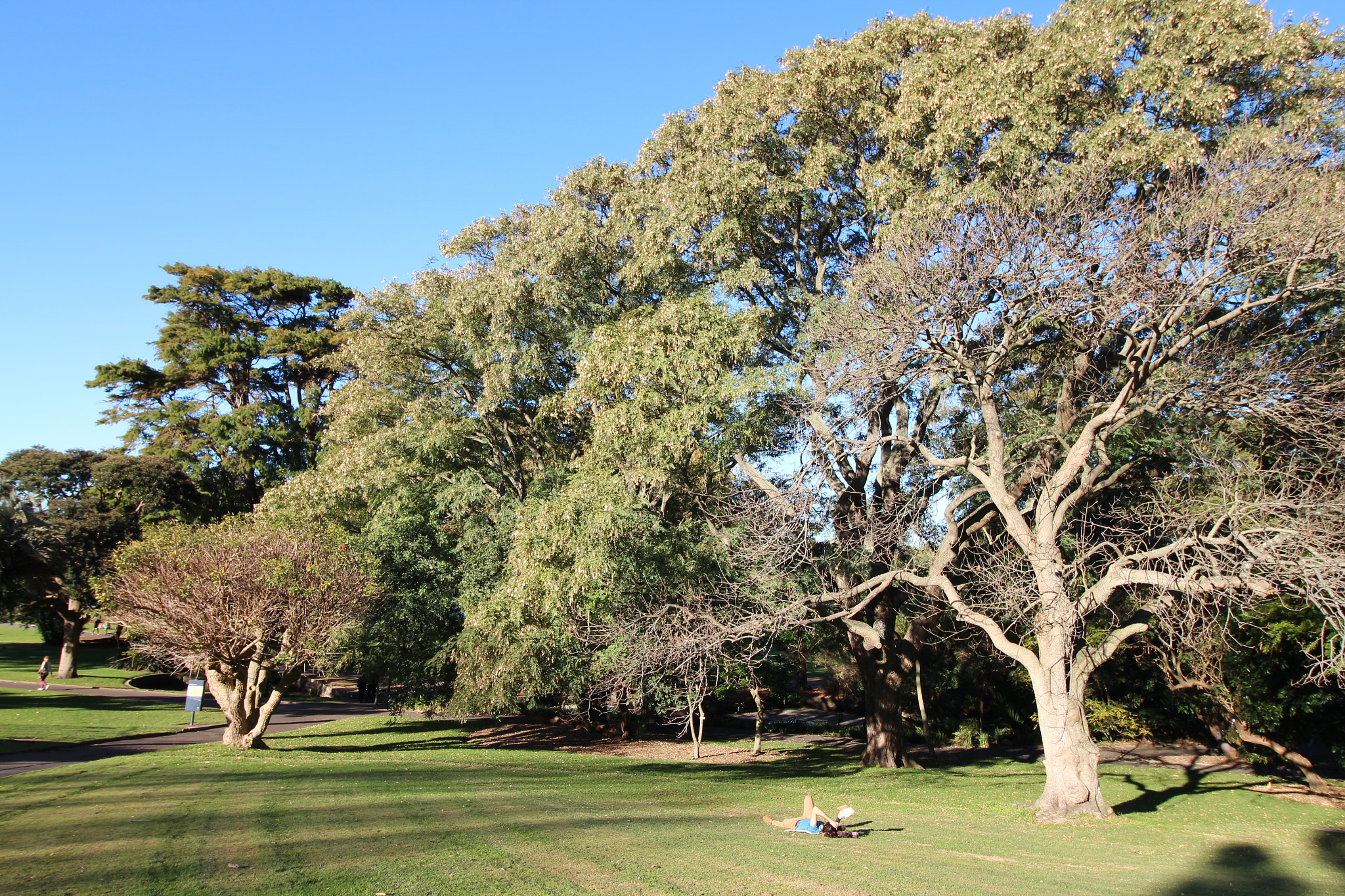 Canon EF-S 10-18mm F4.5–5.6 IS STM sample photo. Relax in the sun photography