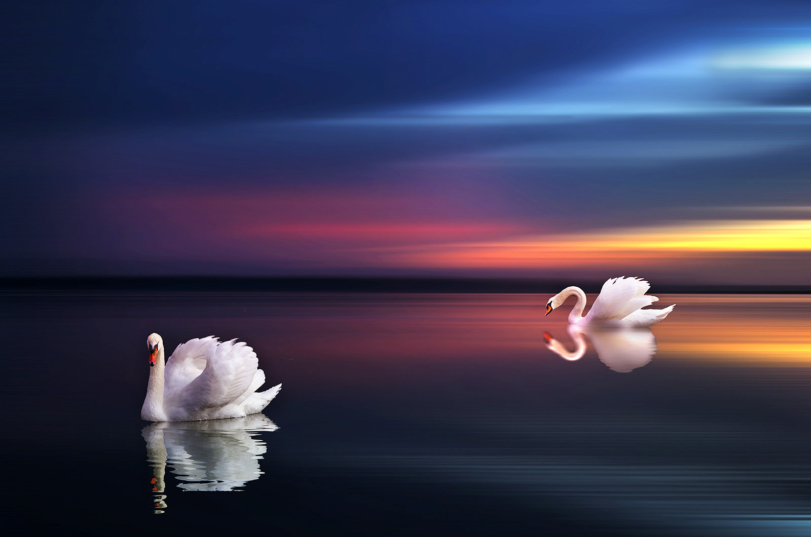 AF Zoom-Nikkor 28-80mm f/3.3-5.6G sample photo. A fantasy world photography