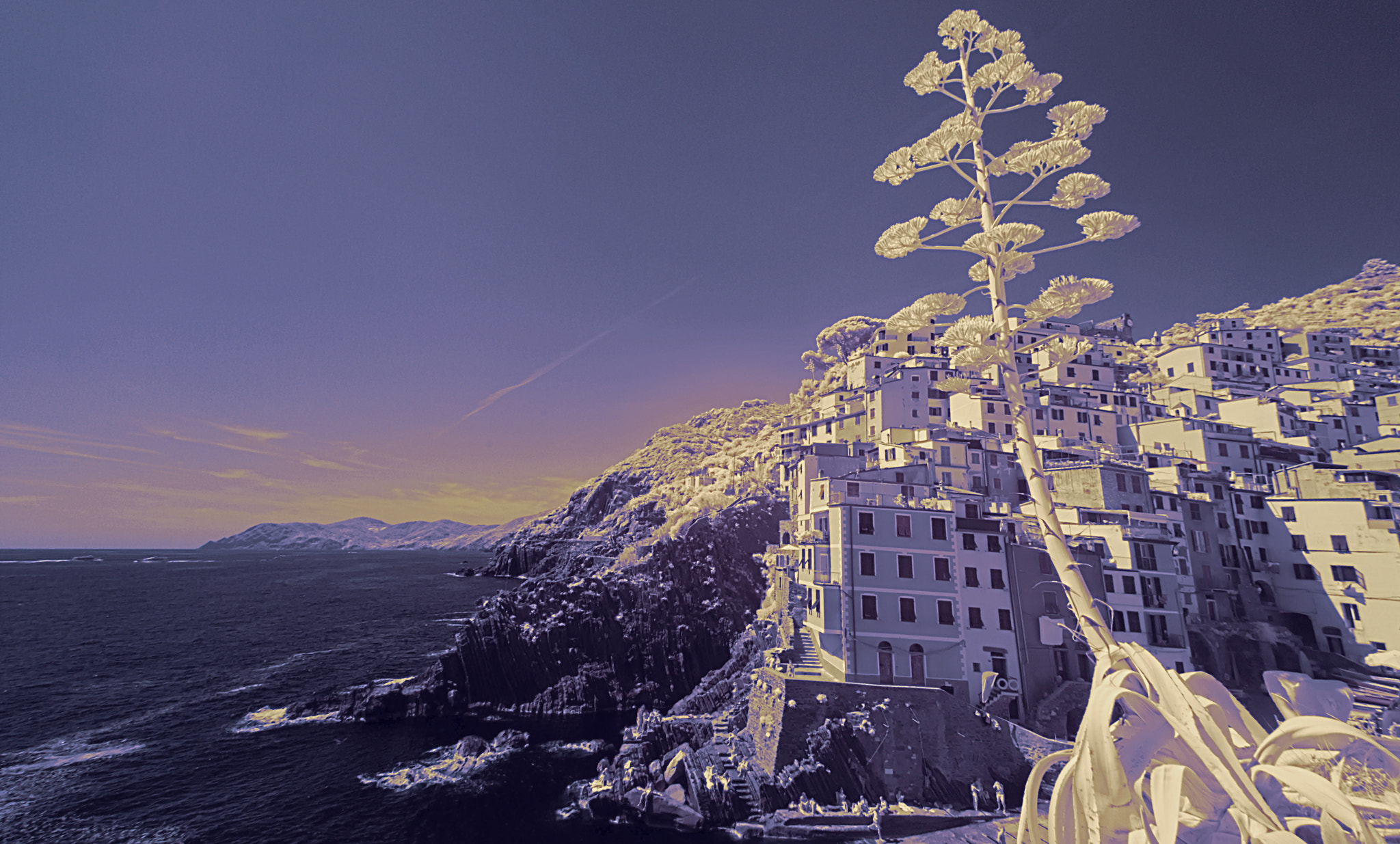 Nikon D80 sample photo. Riomaggiore in july ir light photography