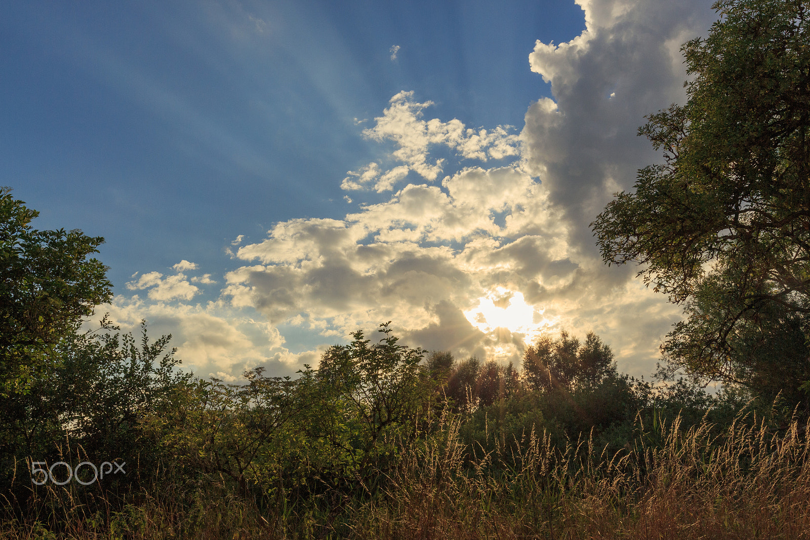 Canon EOS 700D (EOS Rebel T5i / EOS Kiss X7i) + Canon EF 16-35mm F4L IS USM sample photo. Sunbeams photography