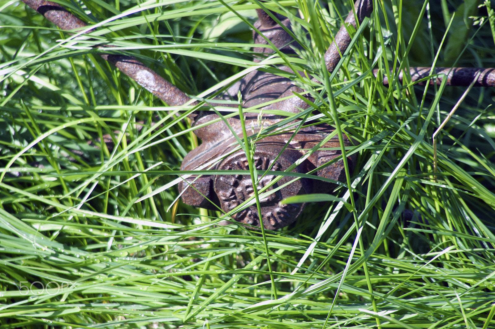 KONICA MINOLTA MAXXUM 5D sample photo. Spoke photography