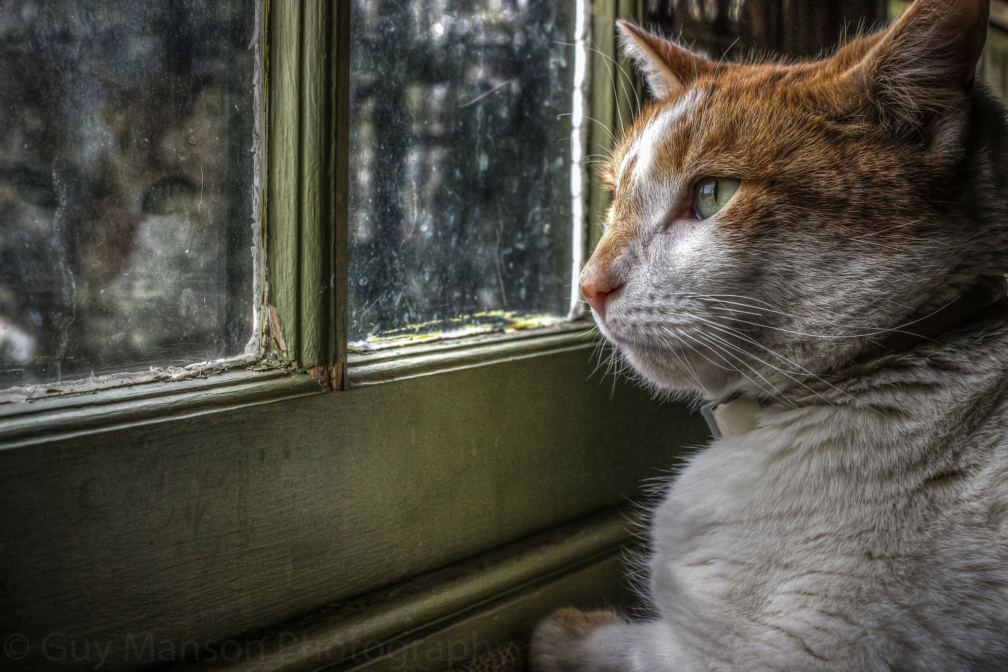 Canon EF 40mm F2.8 STM sample photo. Always watching photography