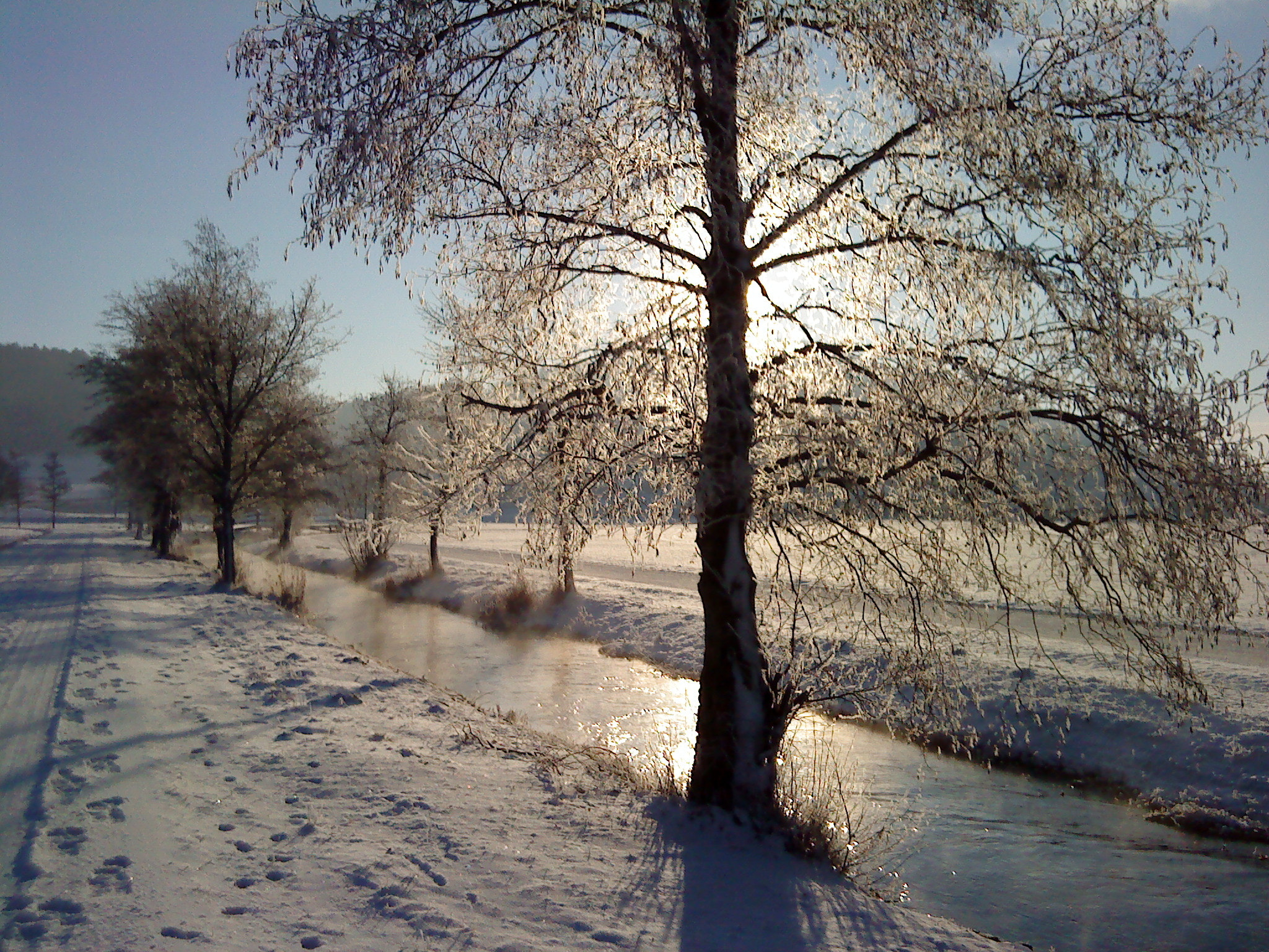 Sony Ericsson T700 sample photo. Dsc01344.jpg photography