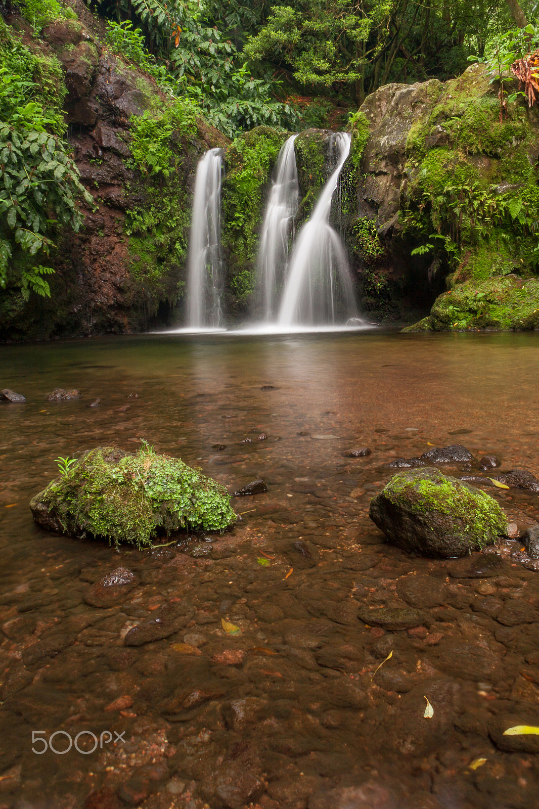 Sigma 18-50mm F2.8-4.5 DC OS HSM sample photo. My paradise photography