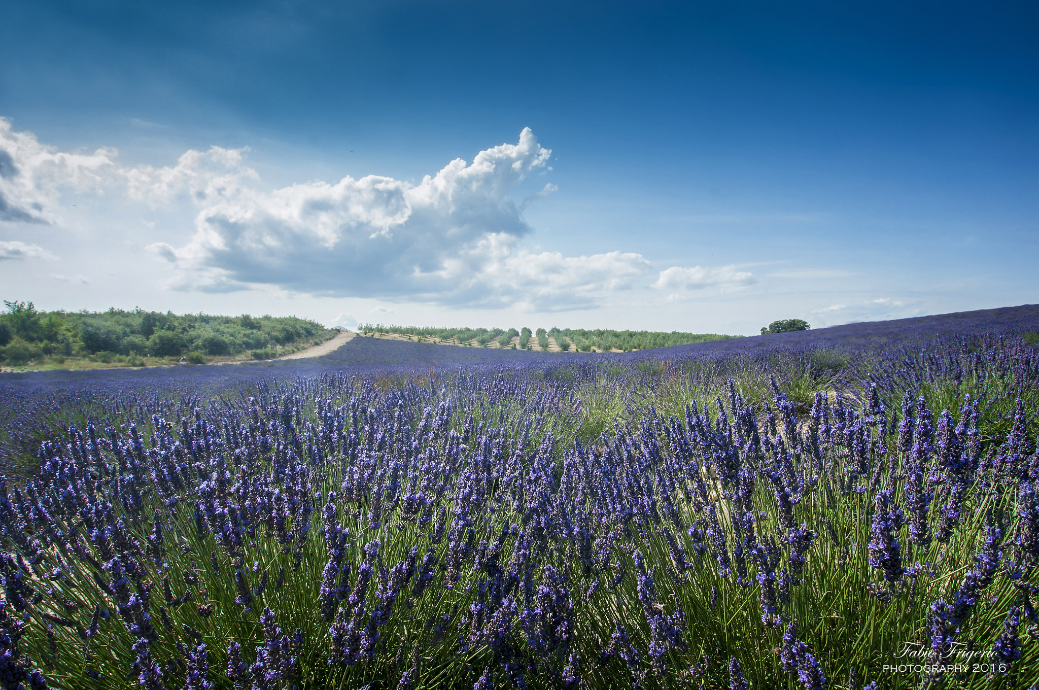 Nikon D90 + 12,0-24,0 mm f/4,0 sample photo. Purple horizons photography