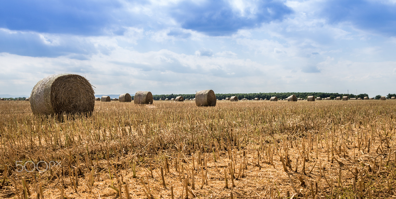 Canon EF 75-300mm F4.0-5.6 IS USM sample photo. After harvest photography