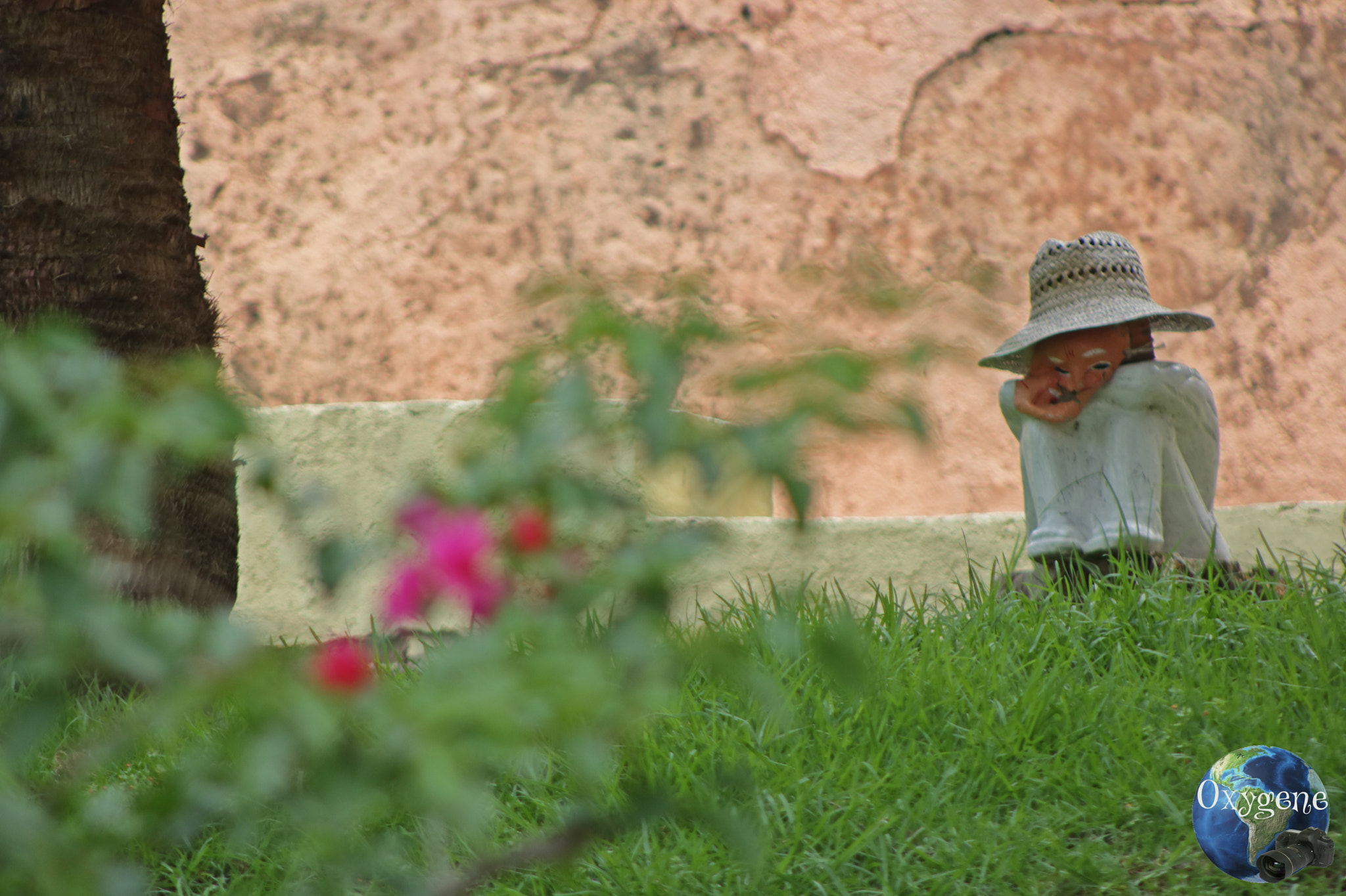 Canon EOS 750D (EOS Rebel T6i / EOS Kiss X8i) + EF75-300mm f/4-5.6 sample photo. Jardin photography