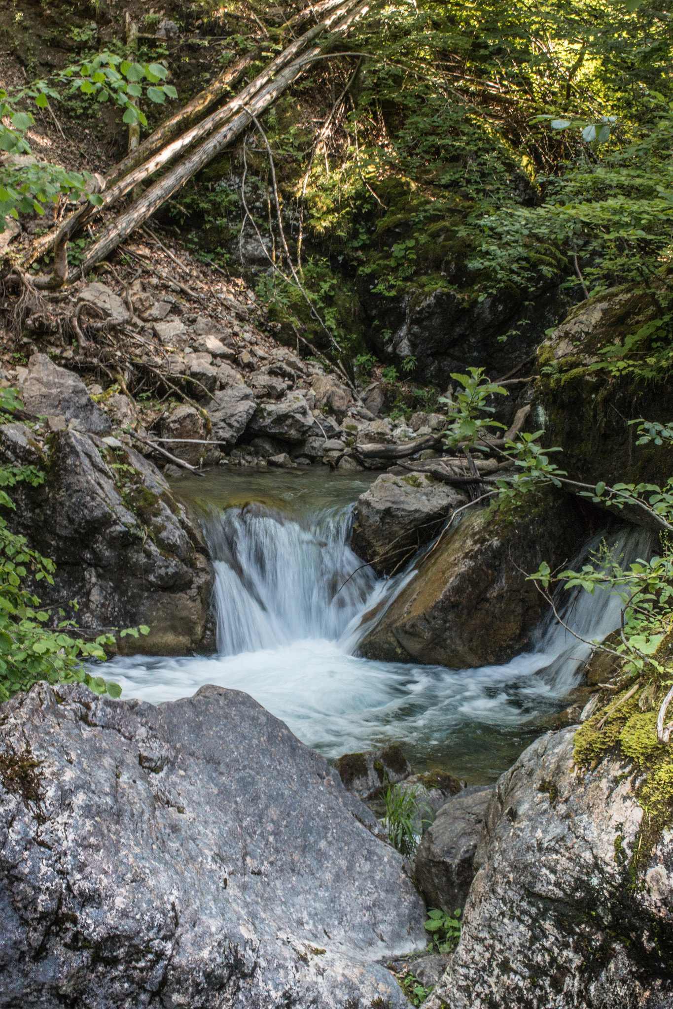 Canon EOS 70D + Canon EF 35mm F1.4L USM sample photo. Along the stream iii photography