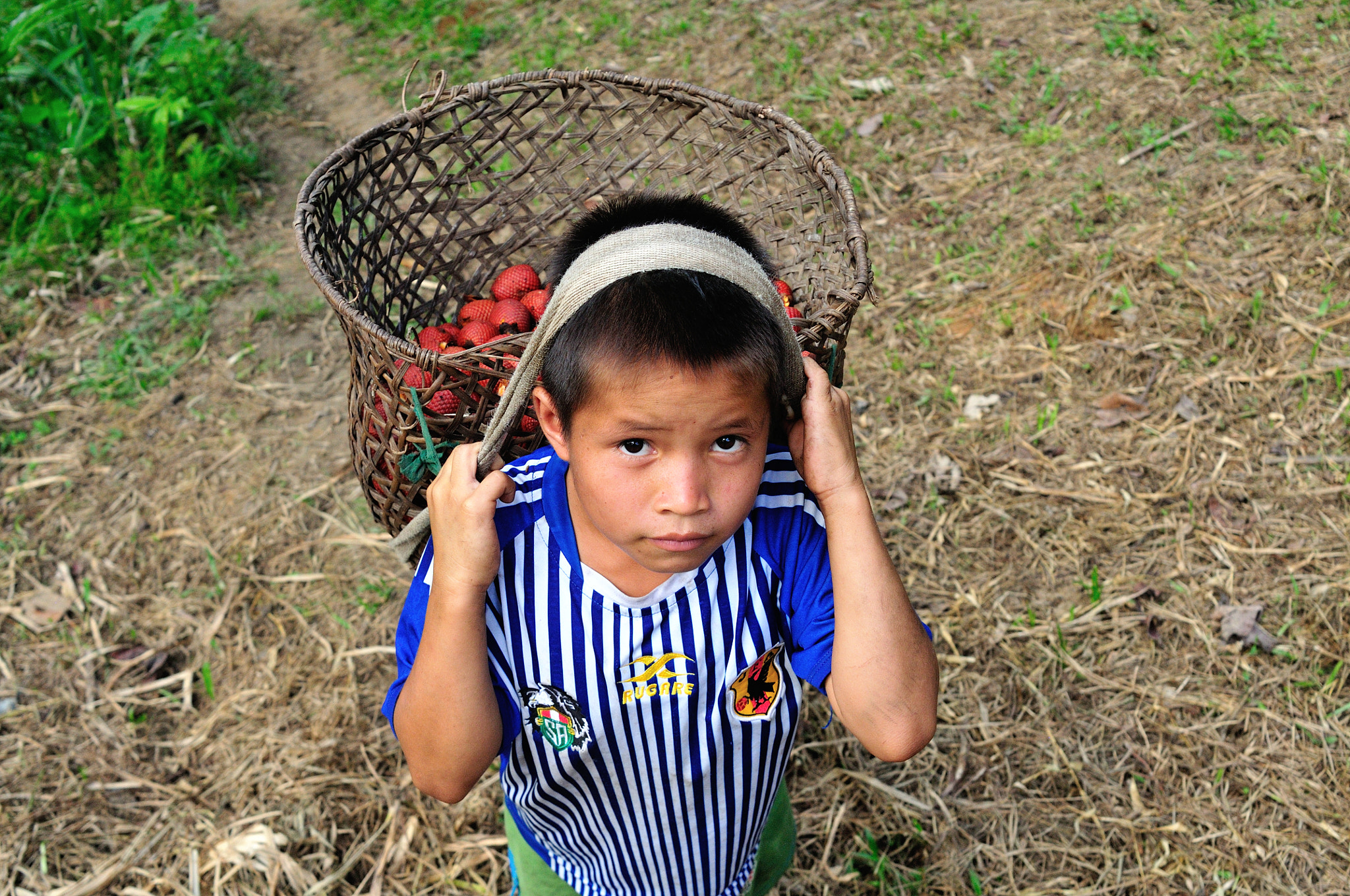 Nikon D300 sample photo. Panguana - peru photography