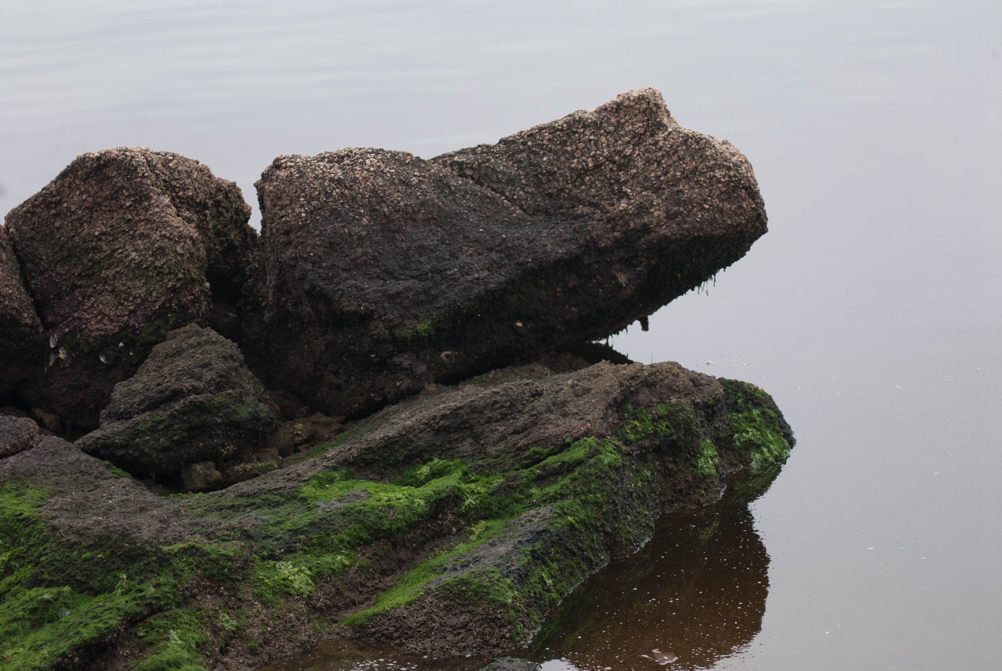 AF Zoom-Nikkor 75-240mm f/4.5-5.6D sample photo. Paquetá island photography