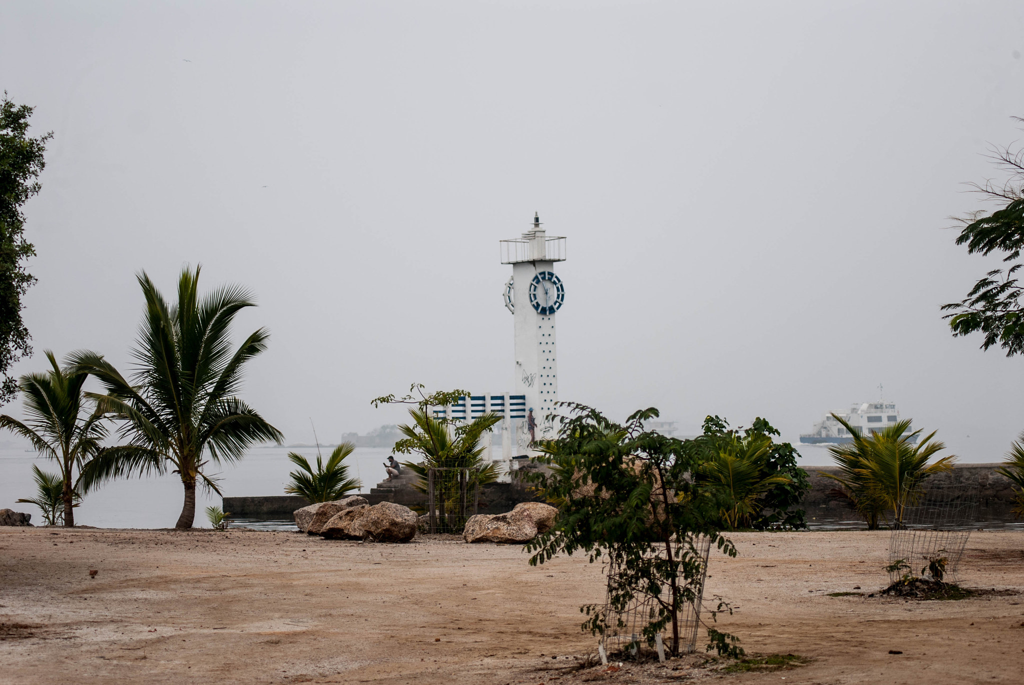 AF Zoom-Nikkor 75-240mm f/4.5-5.6D sample photo. Paquetá island photography