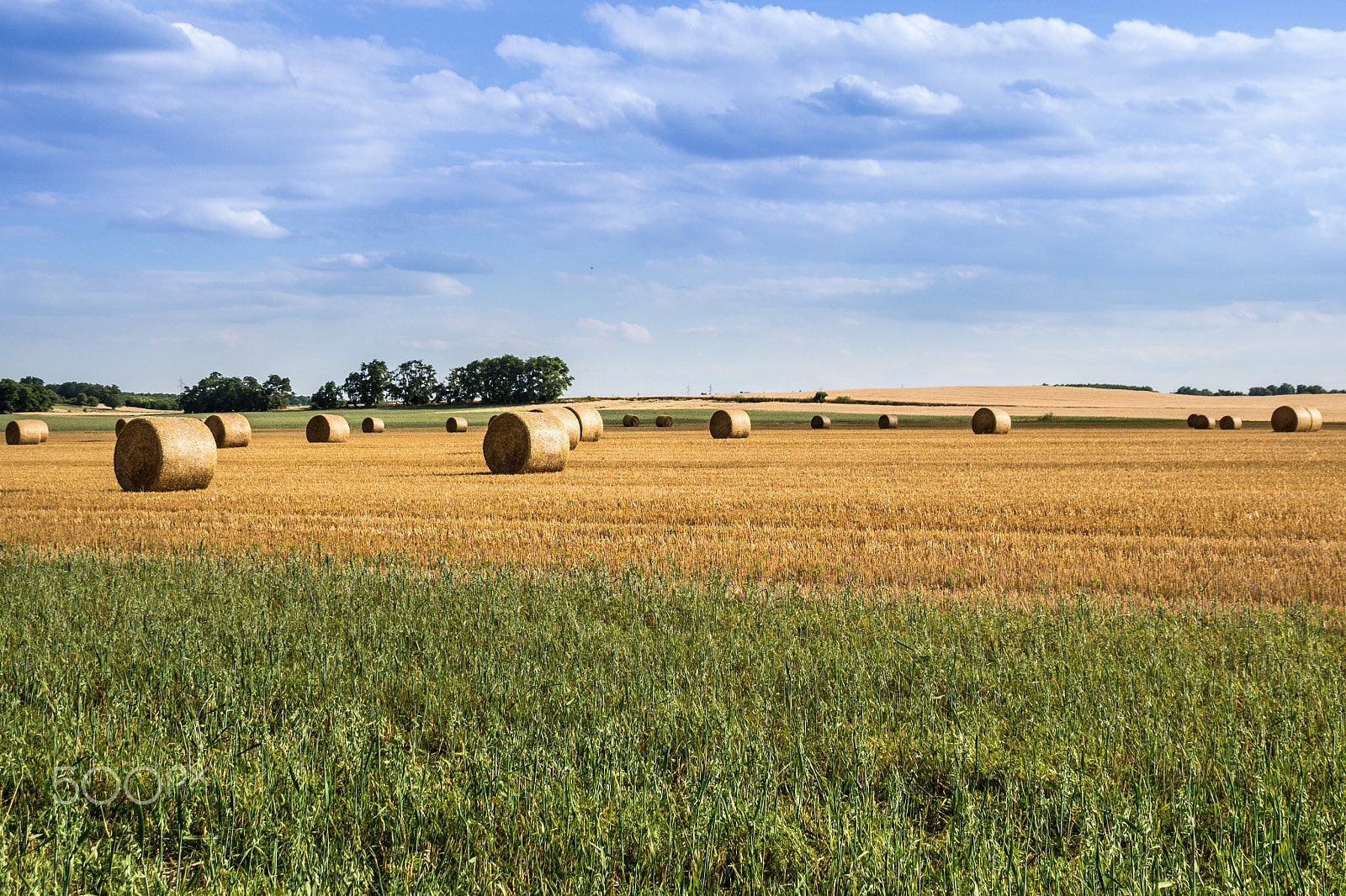 Canon EF 75-300mm F4.0-5.6 IS USM sample photo. After harvest 2 photography