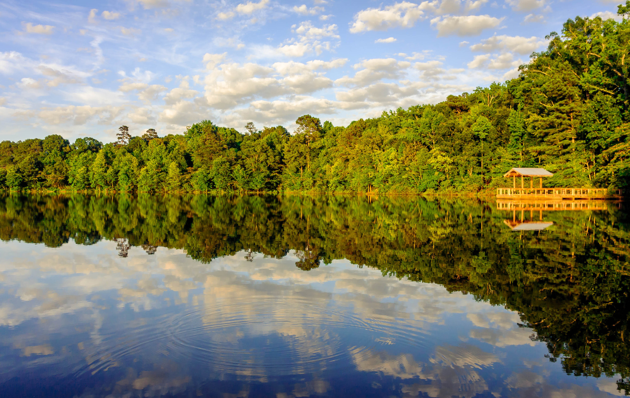 Nikon 1 V1 + Nikon 1 Nikkor 10mm F2.8 sample photo. A mirror at lake herrick, athens ga photography