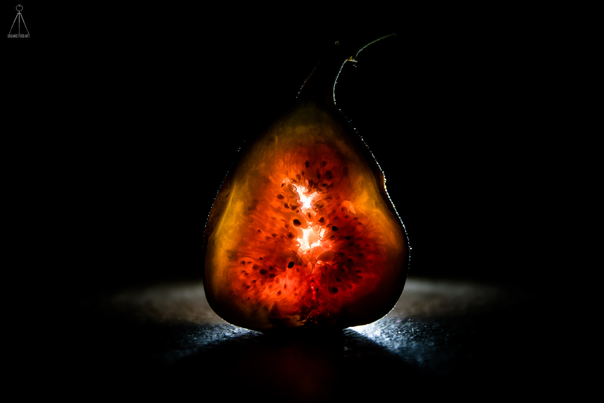 Sigma 17-70mm F2.8-4 DC Macro OS HSM | C sample photo. "figs" photography
