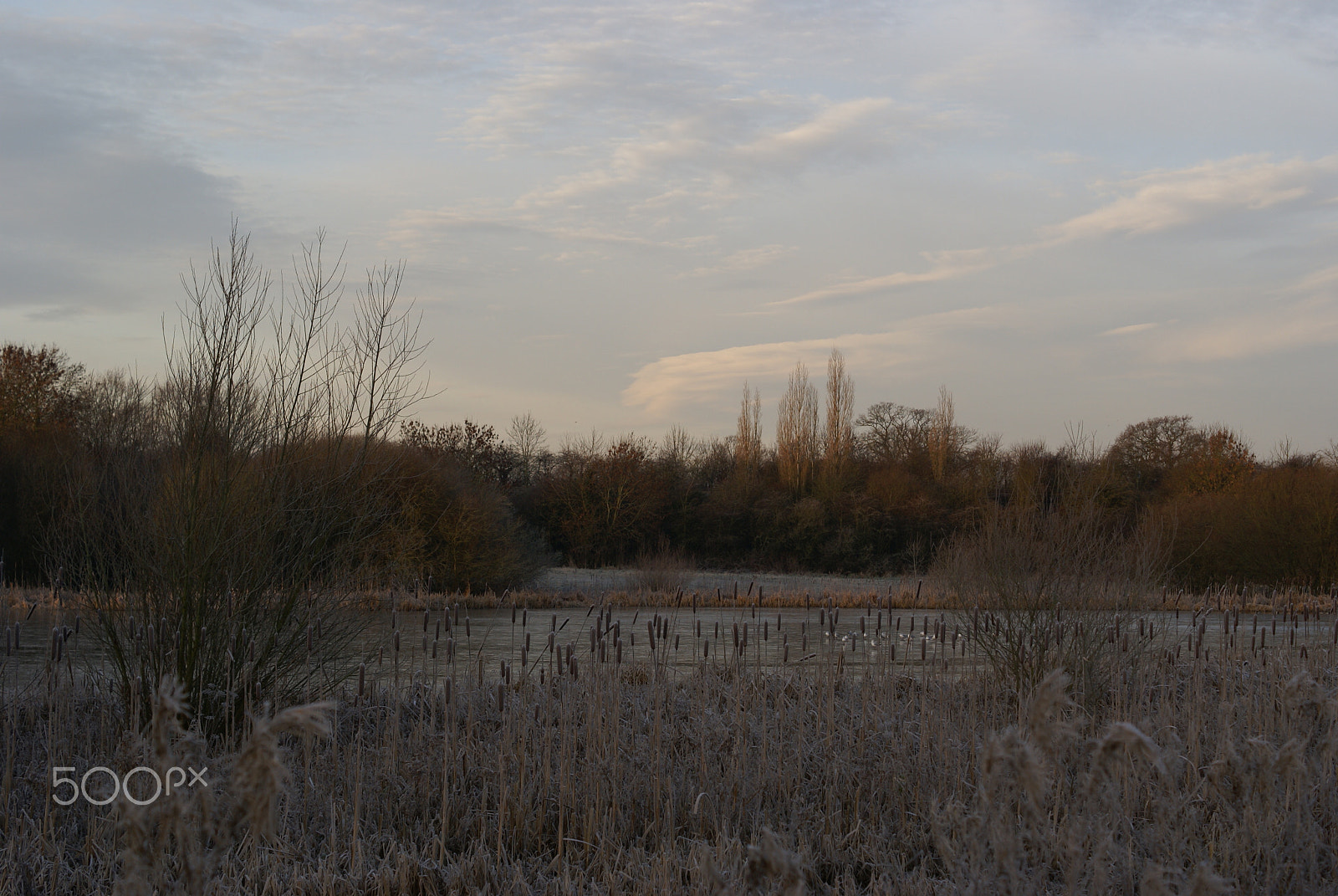 Sony Alpha DSLR-A100 + Sony DT 50mm F1.8 SAM sample photo. Frosted lakeside photography