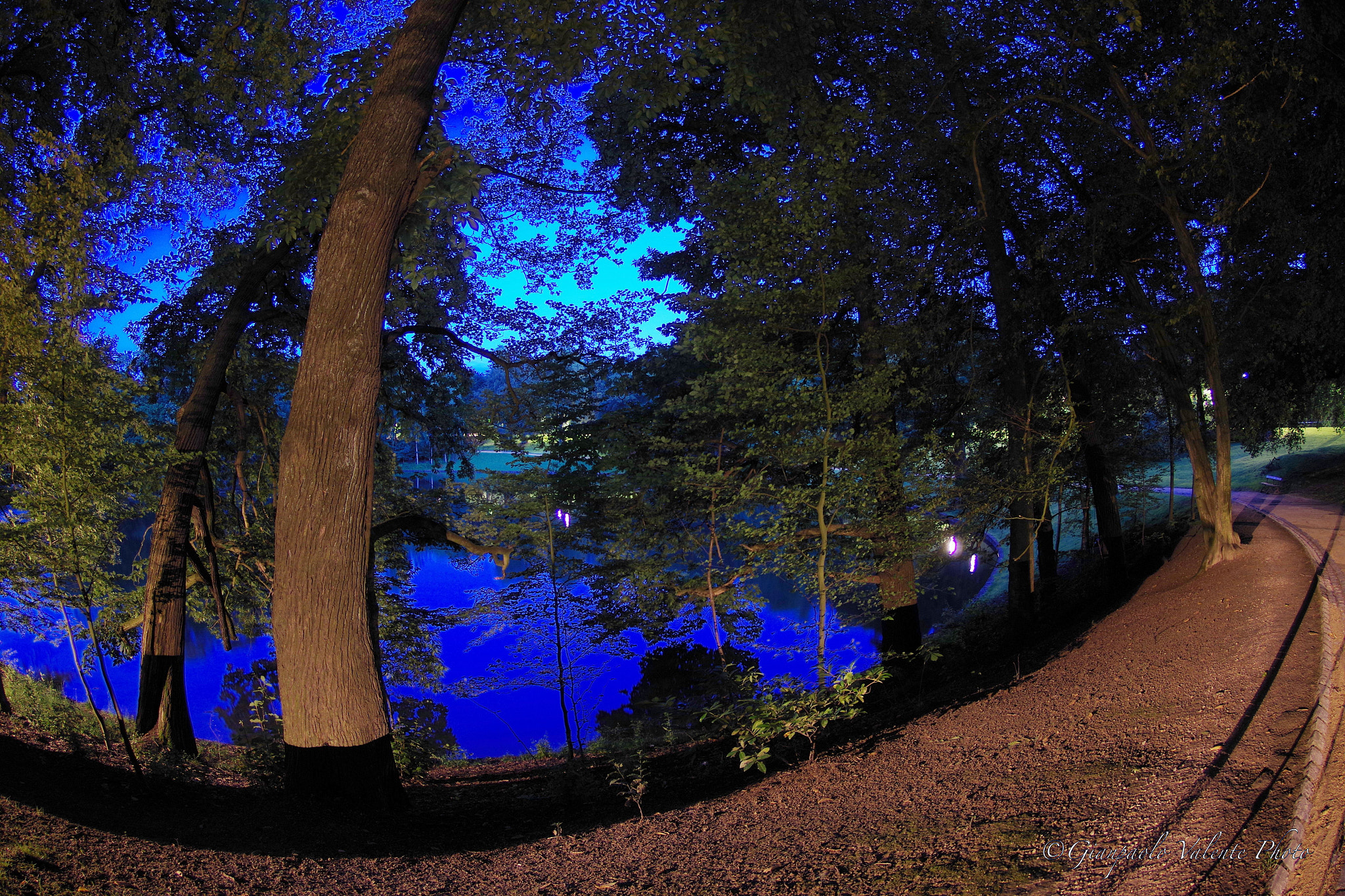 Pentax K-S2 sample photo. 1 blue hour "bois de la cambre" bruxelles photography