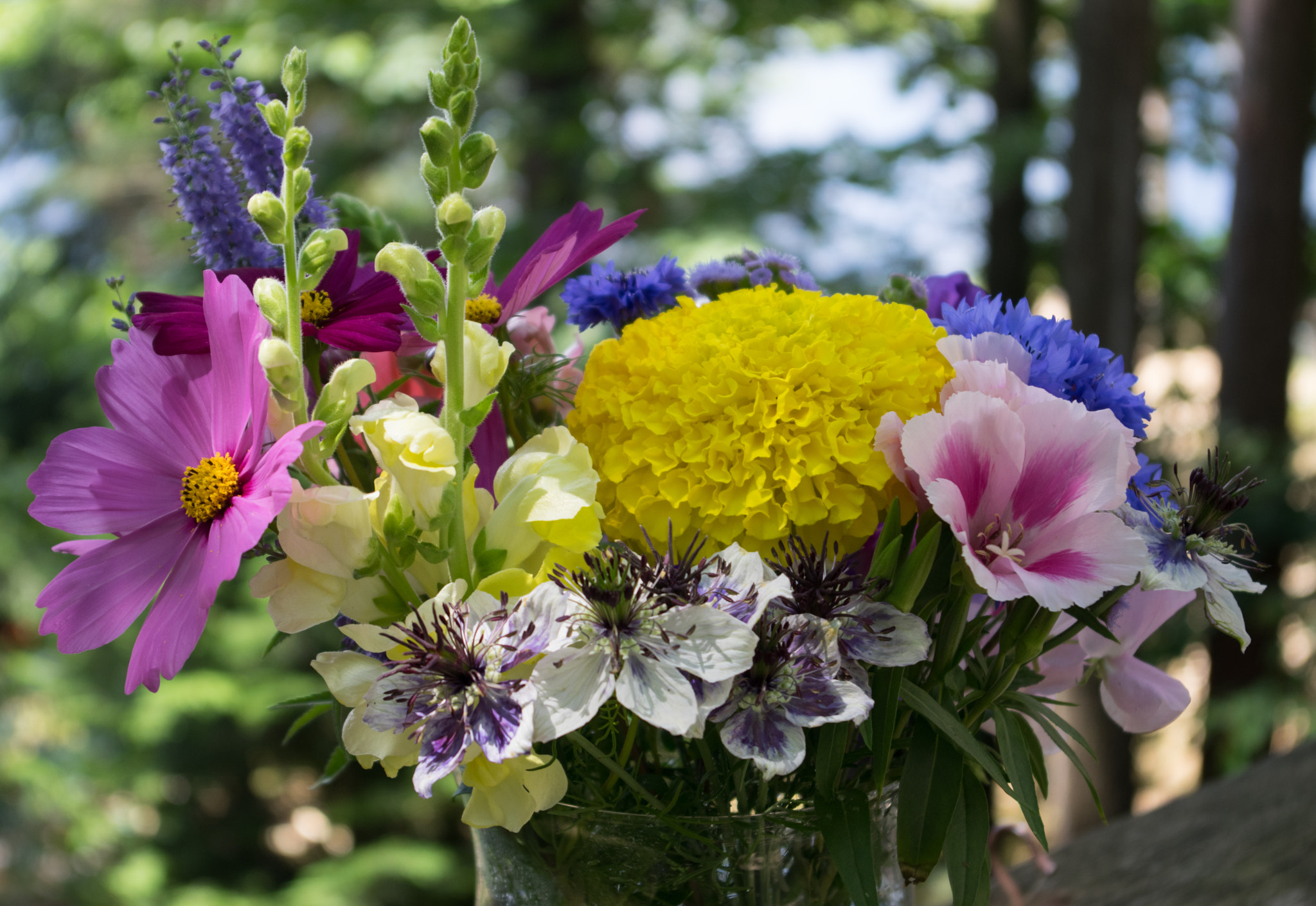 Pentax smc DA 18-55mm F3.5-5.6 AL sample photo. Collection of flowers photography