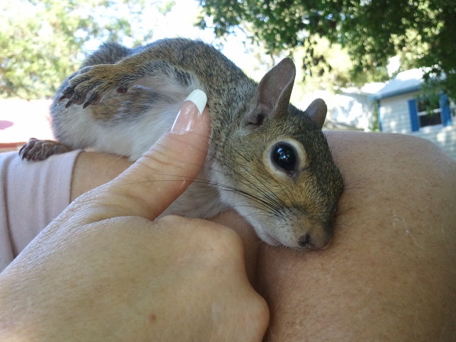 Samsung Galaxy S sample photo. Ting photography