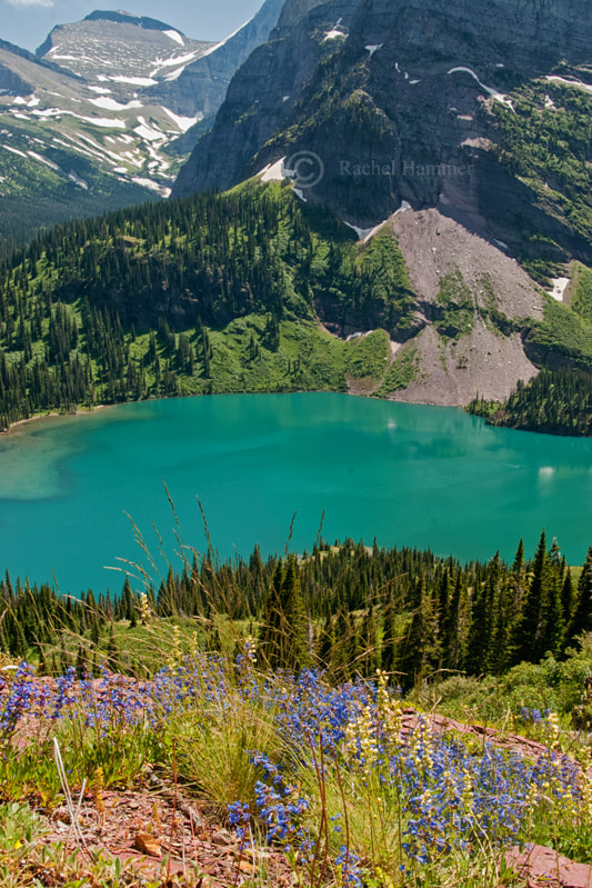 AF Zoom-Nikkor 28-80mm f/3.5-5.6D sample photo. Grinnell lake photography