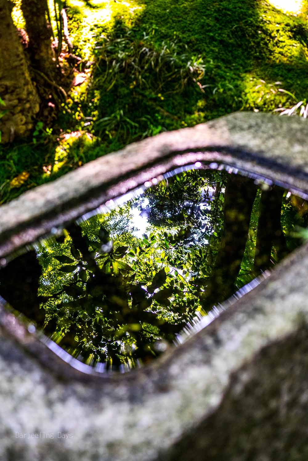 Panasonic Lumix DMC-GM1 + Panasonic Lumix G 20mm F1.7 ASPH sample photo. 鎌倉（kamakura） photography
