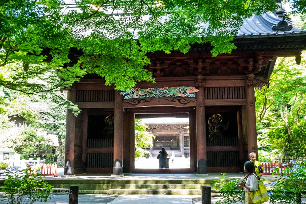 Panasonic Lumix DMC-GM1 sample photo. 鎌倉（kamakura） photography