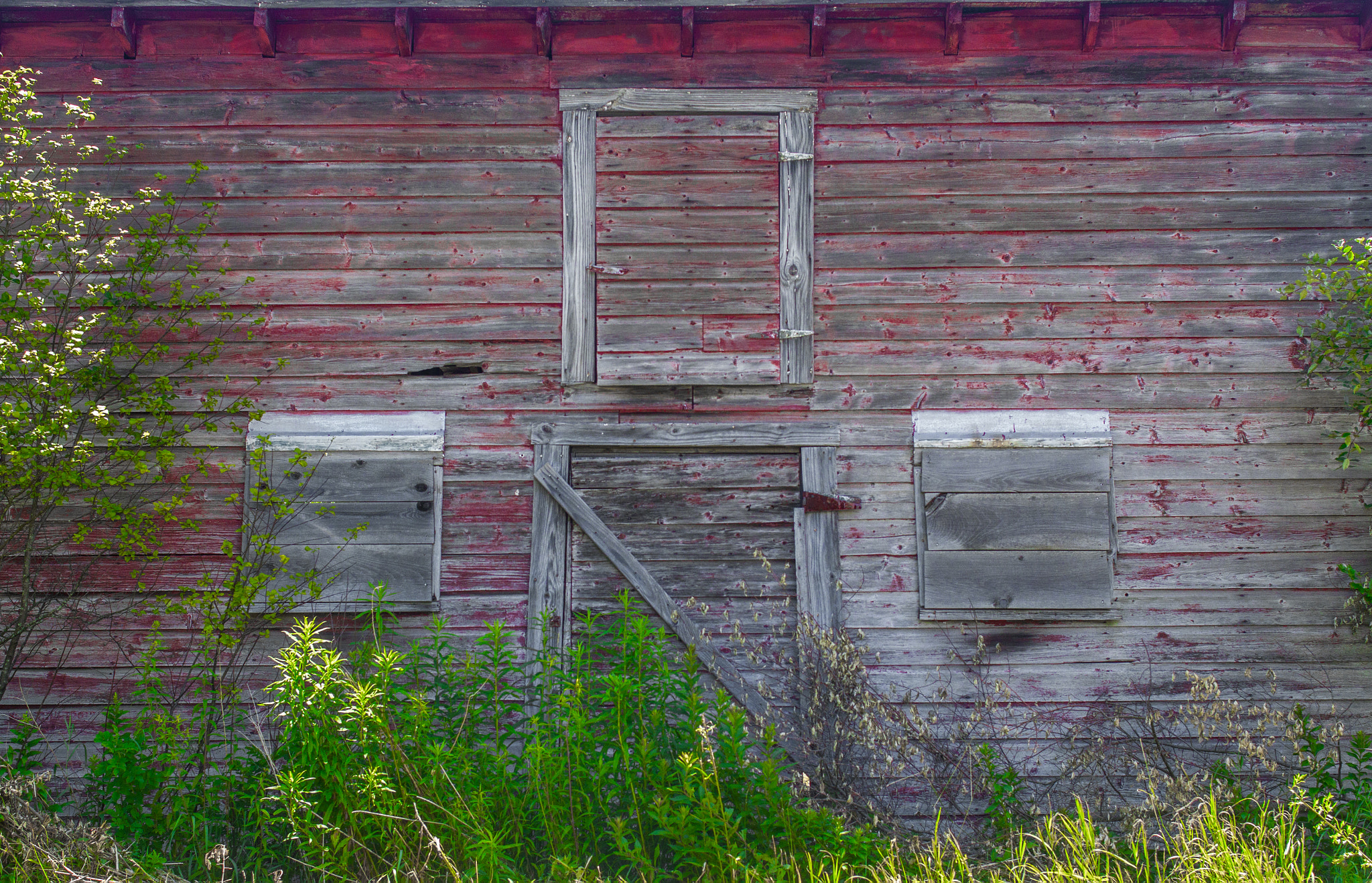 Canon EOS 550D (EOS Rebel T2i / EOS Kiss X4) + Canon EF 35mm F2 sample photo. Weathered barnside photography