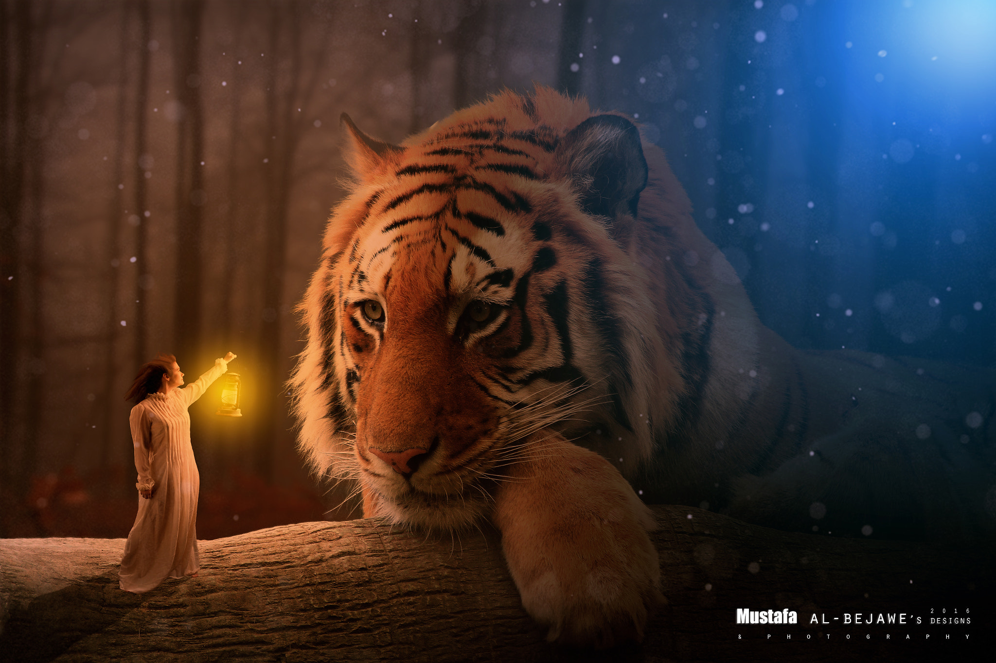 Canon EOS 650D (EOS Rebel T4i / EOS Kiss X6i) sample photo. Fantasy photo manipulation photography