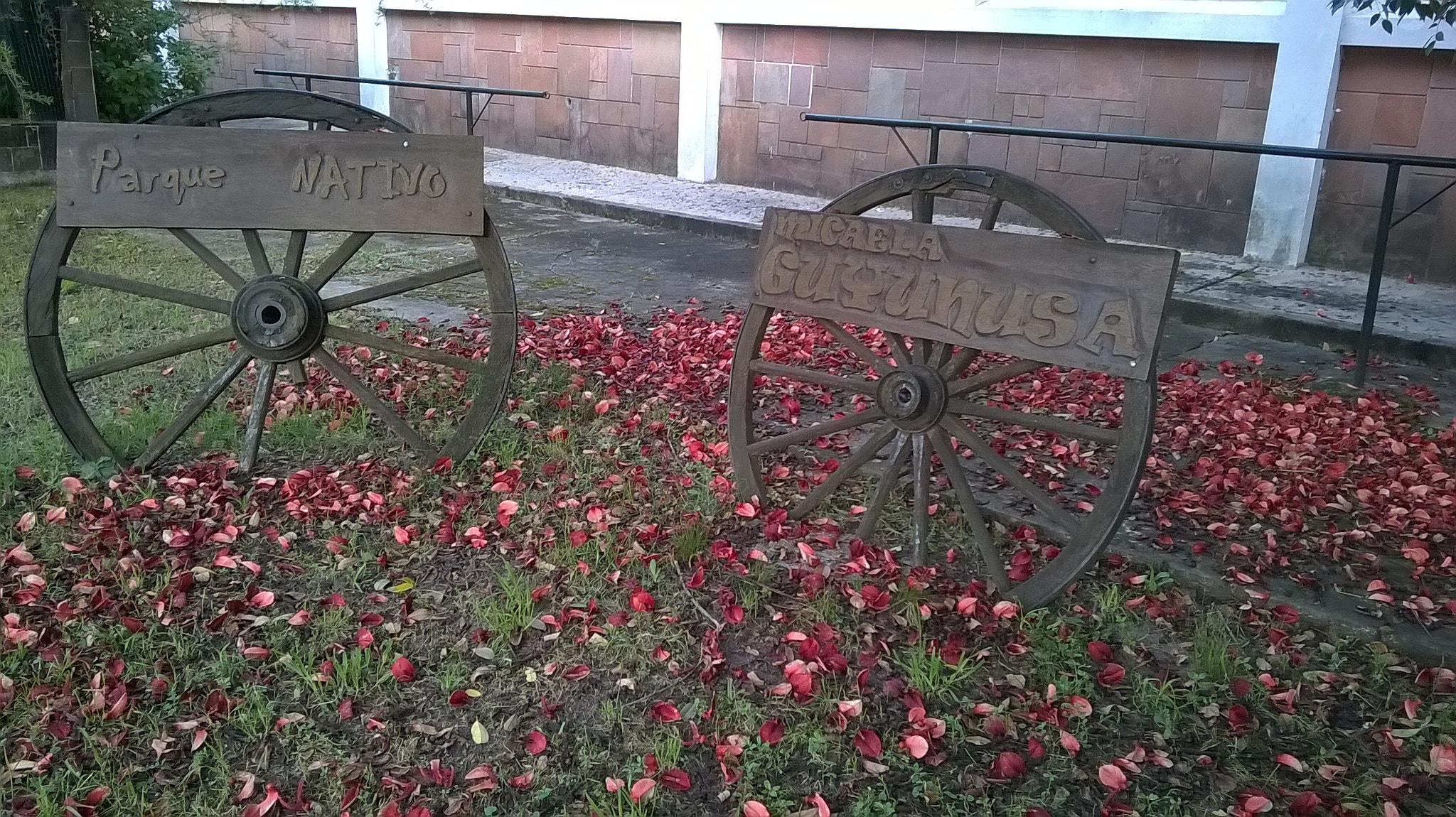 Nokia Lumia 630 sample photo. Wp_20151120_009.jpg photography