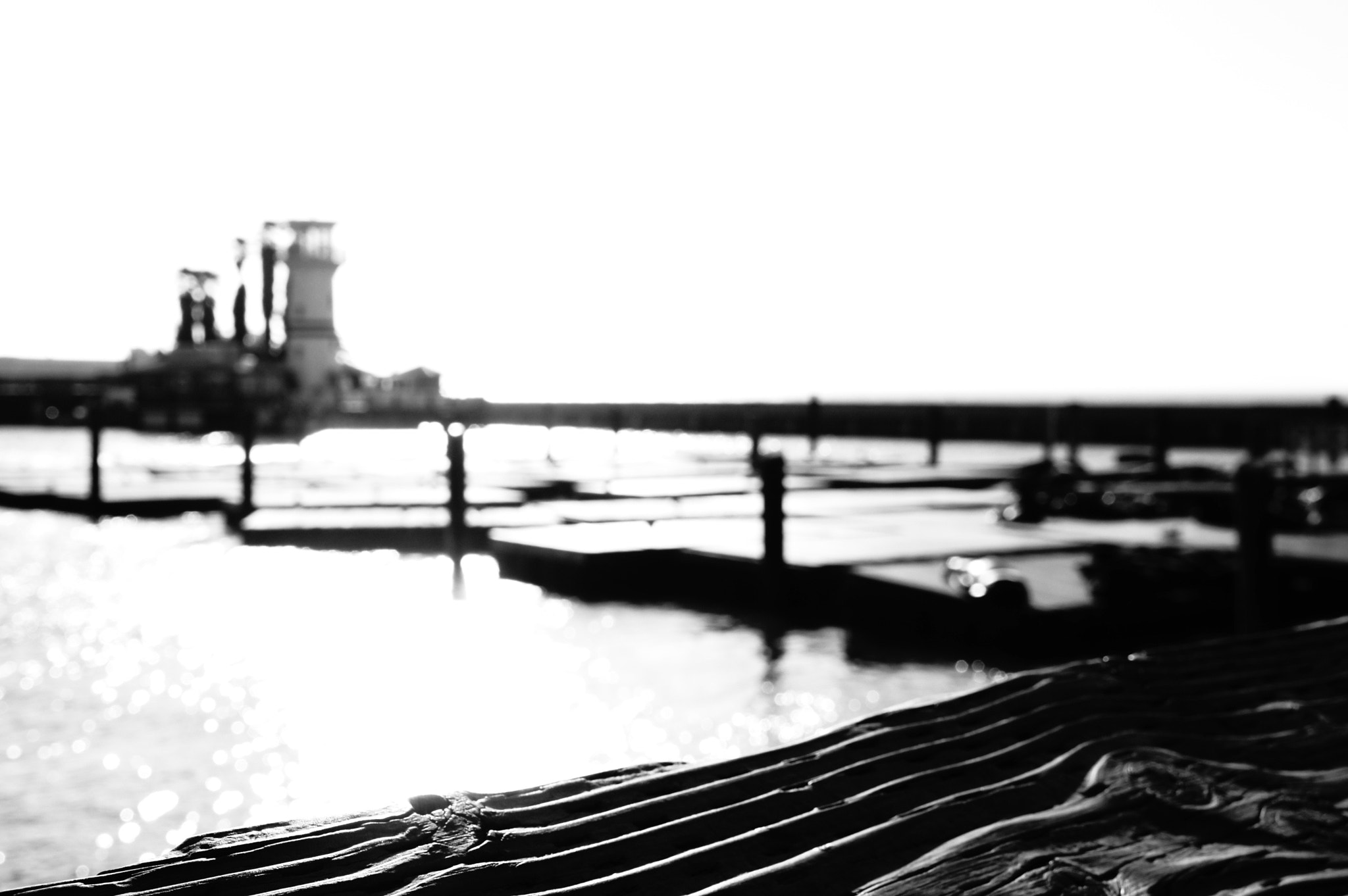 Tamron 18-200mm F3.5-6.3 Di III VC sample photo. Fishman's wharf photography