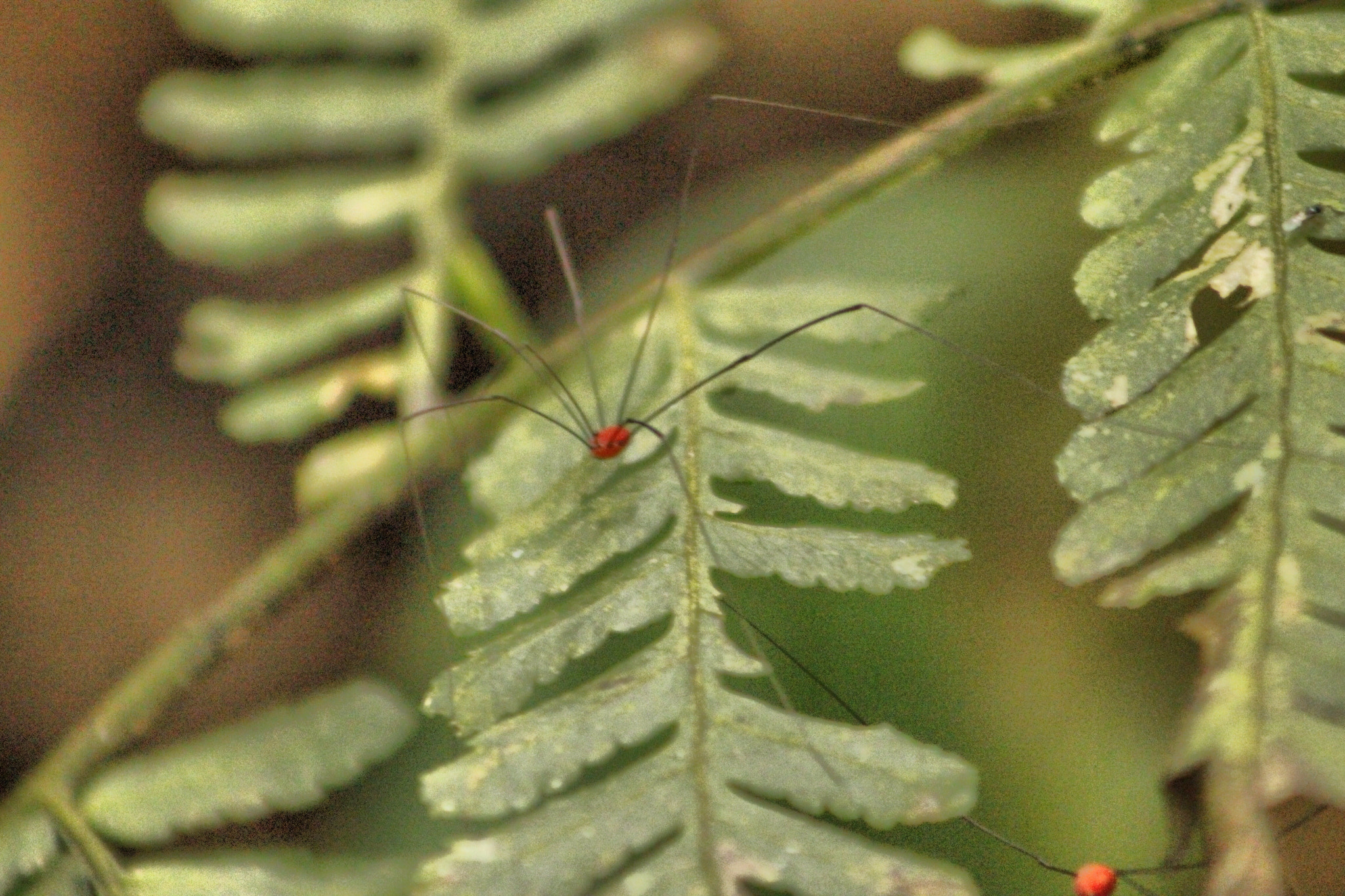 Canon EF 75-300mm f/4-5.6 USM sample photo