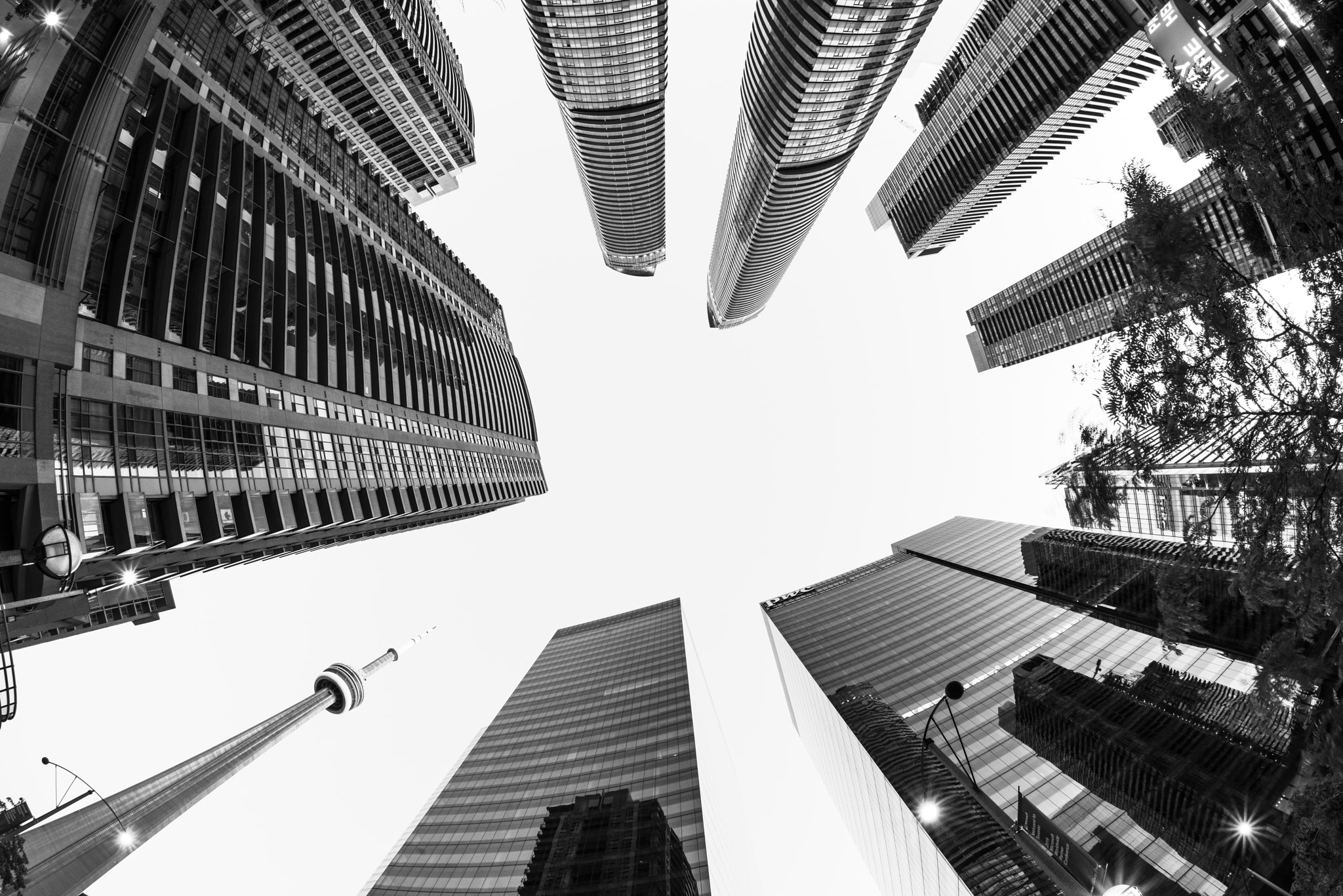 Nikon D810 + Samyang 12mm F2.8 ED AS NCS Fisheye sample photo. Toronto up bw photography