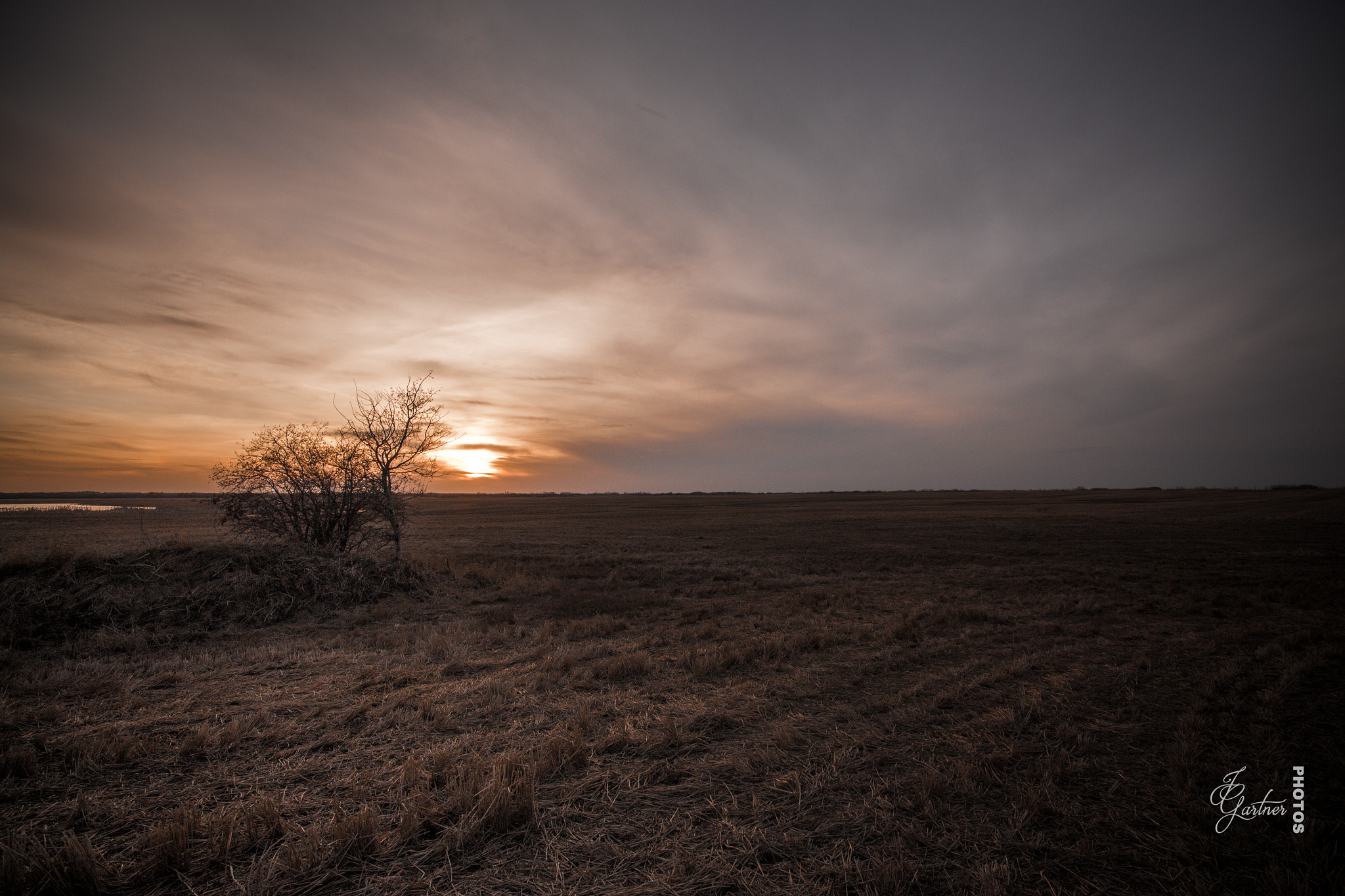 Canon EOS 650D (EOS Rebel T4i / EOS Kiss X6i) sample photo. Lonely tree photography
