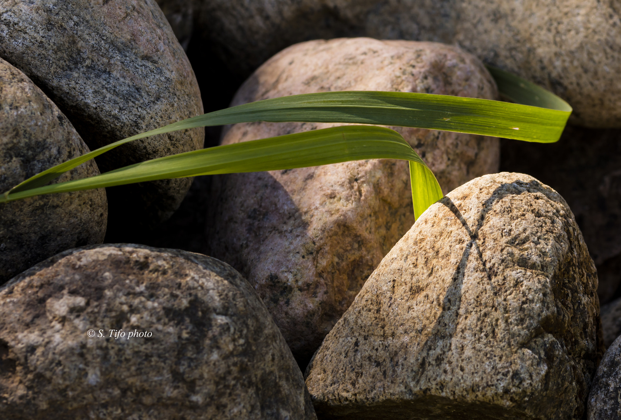 Sigma 105mm F2.8 EX DG OS HSM sample photo. Rocks .. and softness .. photography