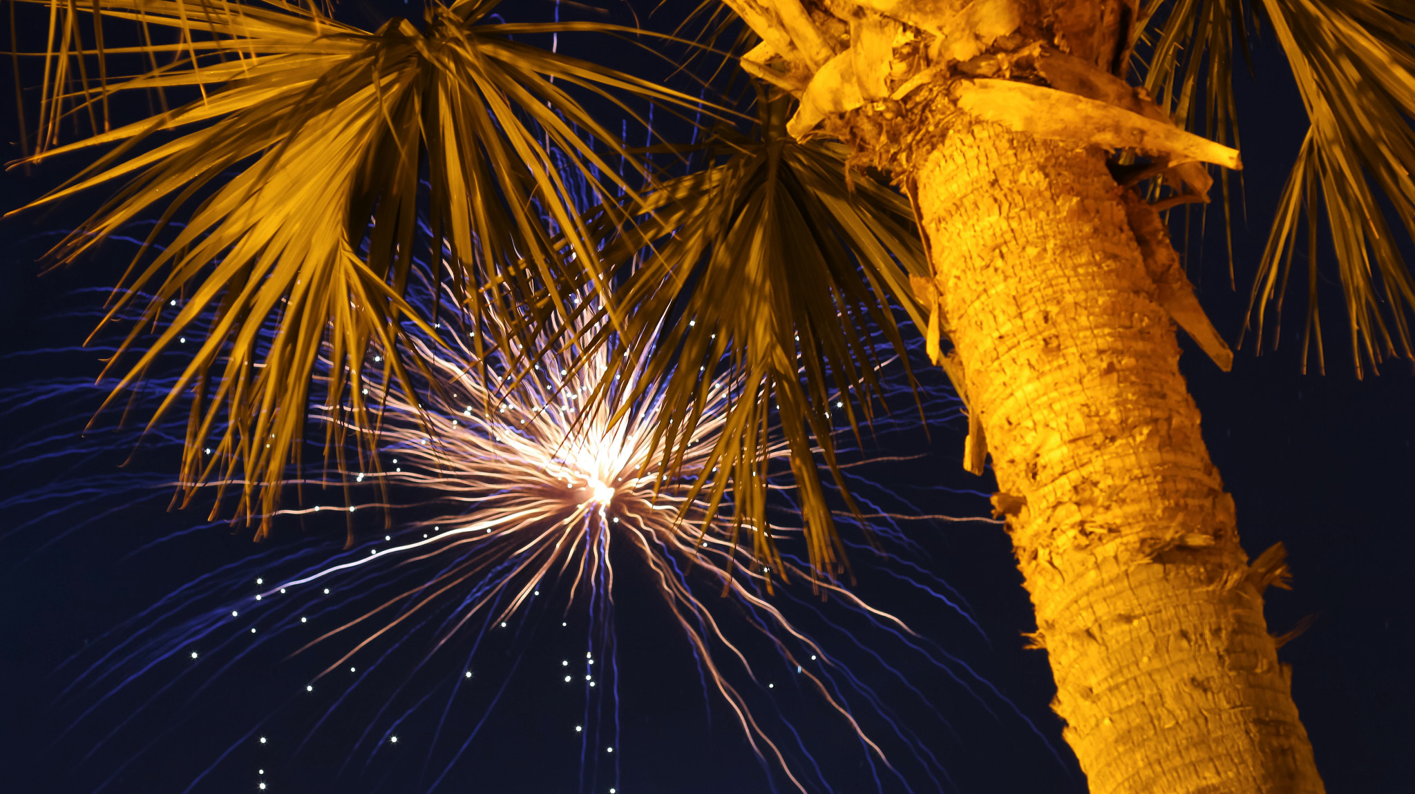 Canon EF 50mm F1.4 USM sample photo. Happy 4th of july 2016 photography