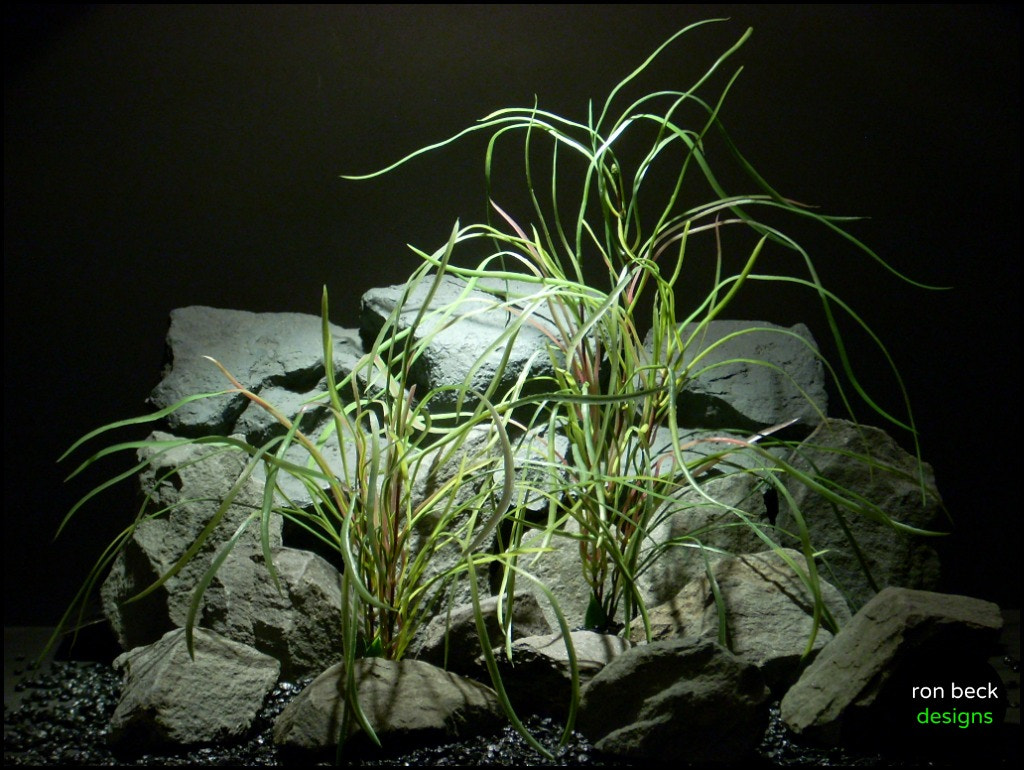 Nikon COOLPIX L11 sample photo. Plastic aquarium plants pearl grass pair from ron beck designs photography