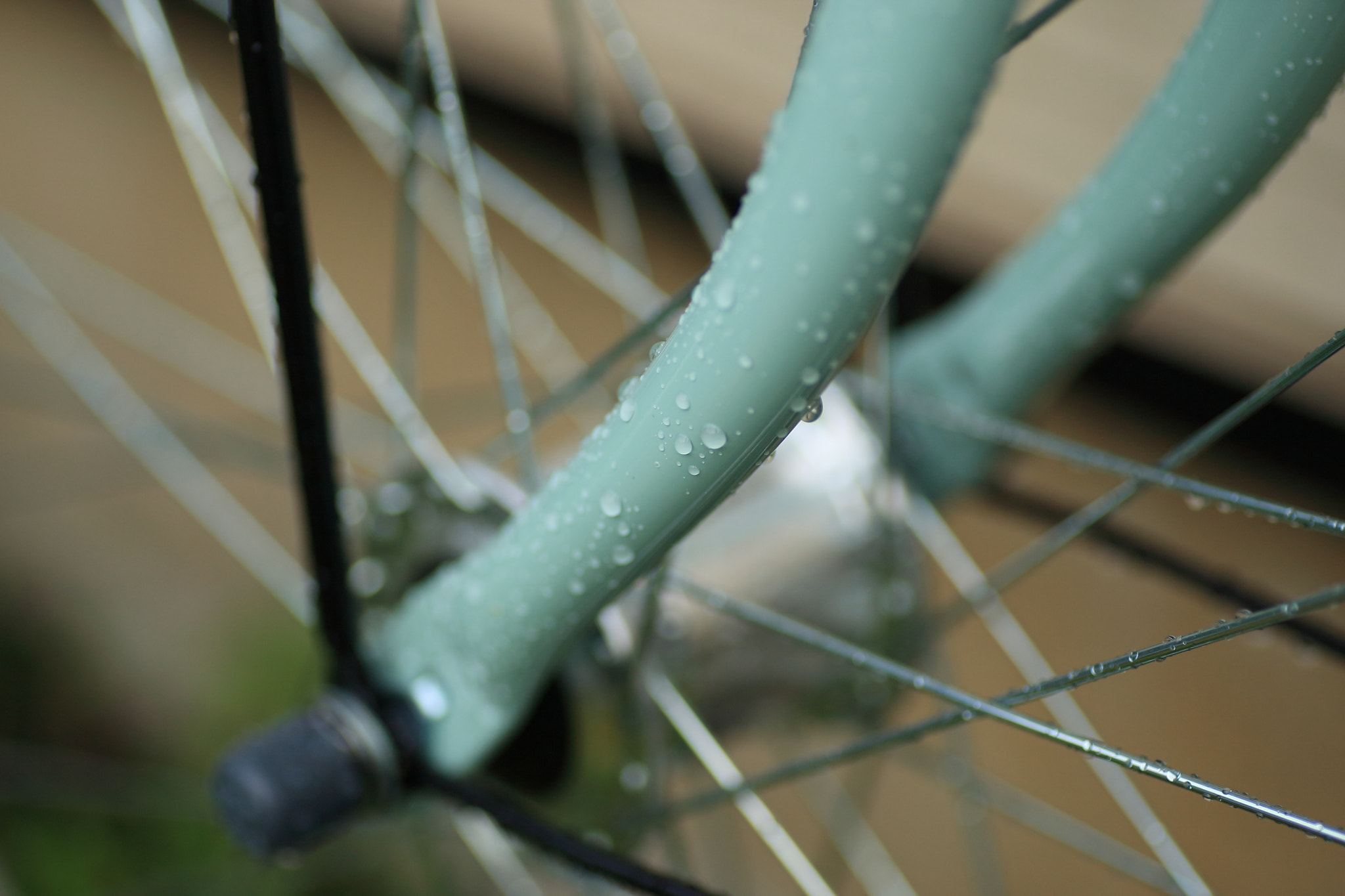 Tamron SP AF 90mm F2.8 Di Macro sample photo. After shower photography