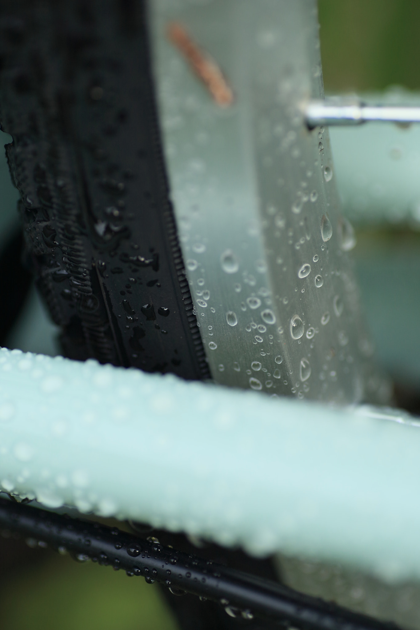 Tamron SP AF 90mm F2.8 Di Macro sample photo. After shower photography