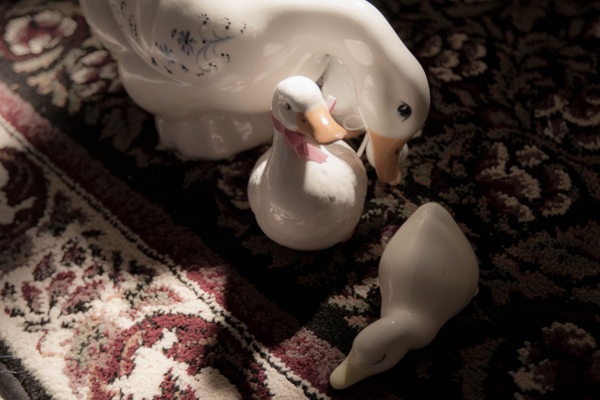 Canon EOS 30D sample photo. Ducks photography