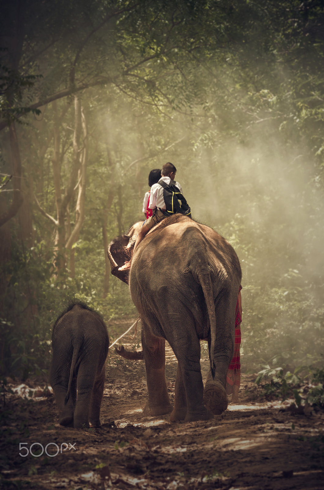 Pentax K-5 IIs sample photo. Back side of students are riding the elephants go back home to t photography