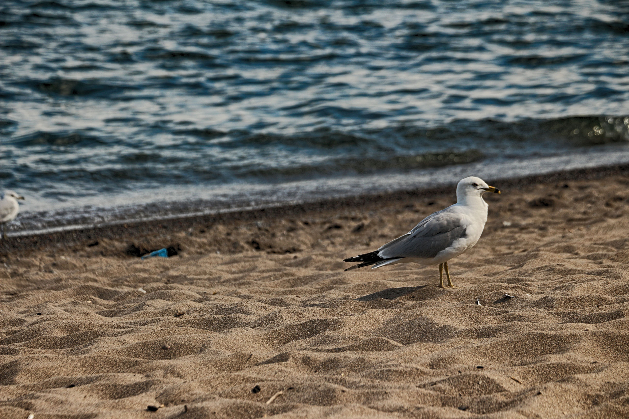 Canon EOS 650D (EOS Rebel T4i / EOS Kiss X6i) sample photo. Beachy time photography