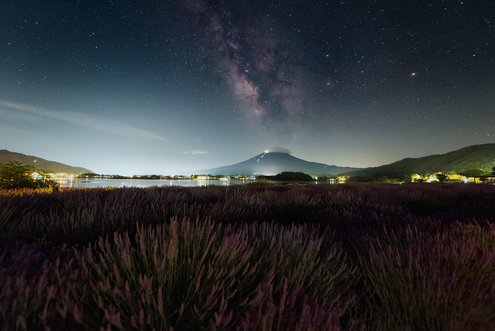Nikon D810A sample photo. The milky way & mt. fuji over lavender bushes photography