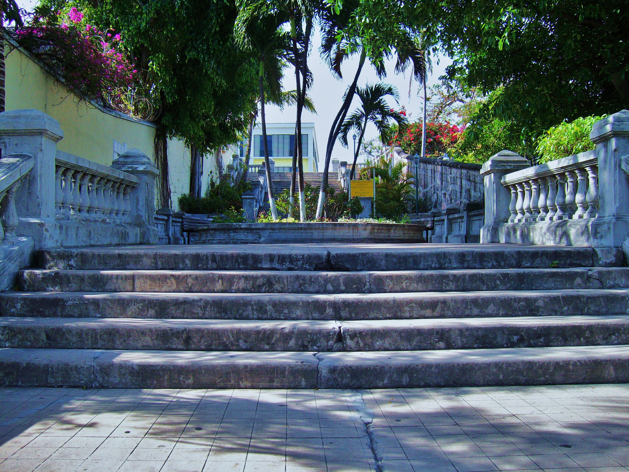 Vivitar ViviCam 7340 sample photo. The stairs photography