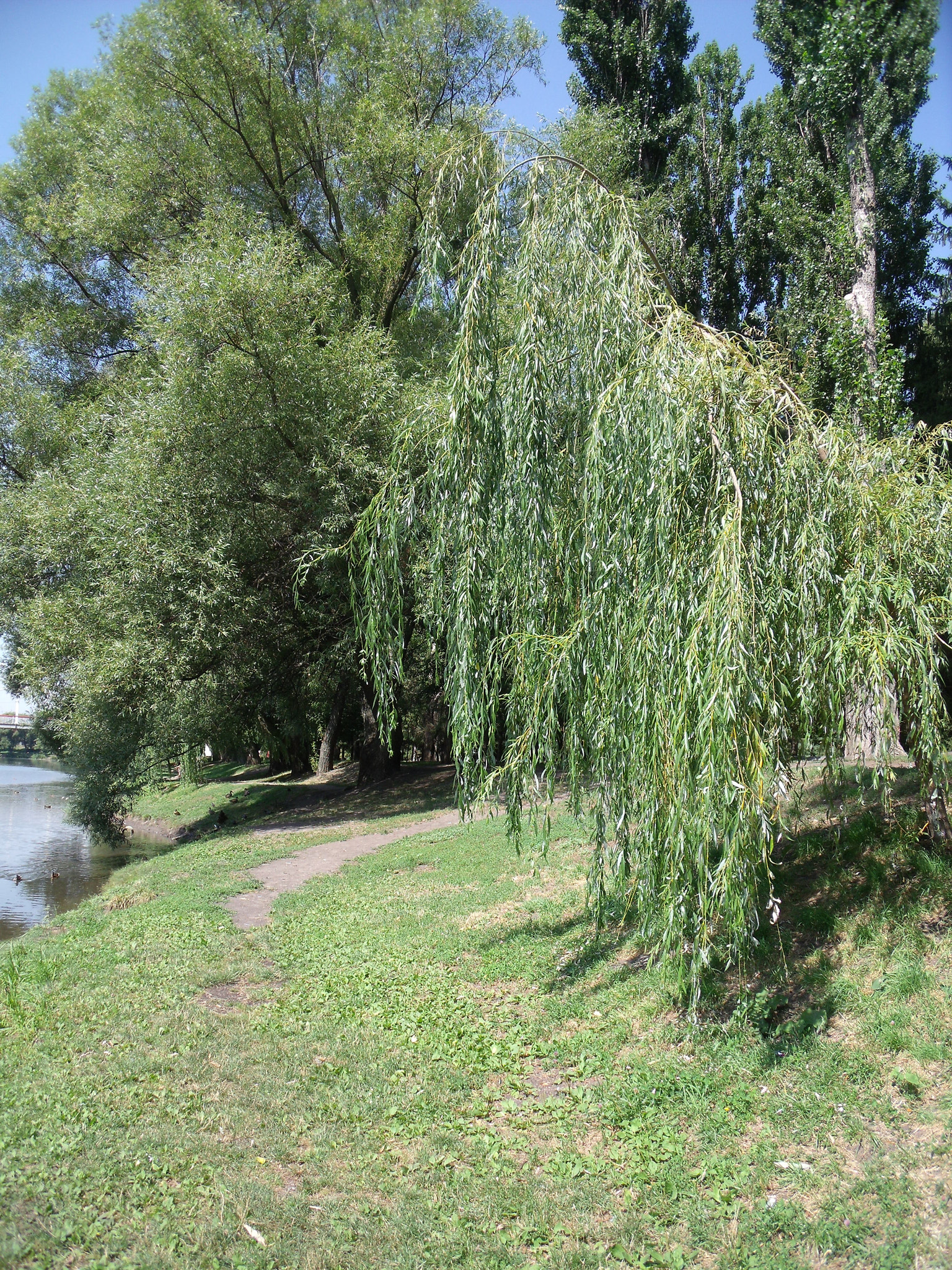 Fujifilm FinePix J150W sample photo