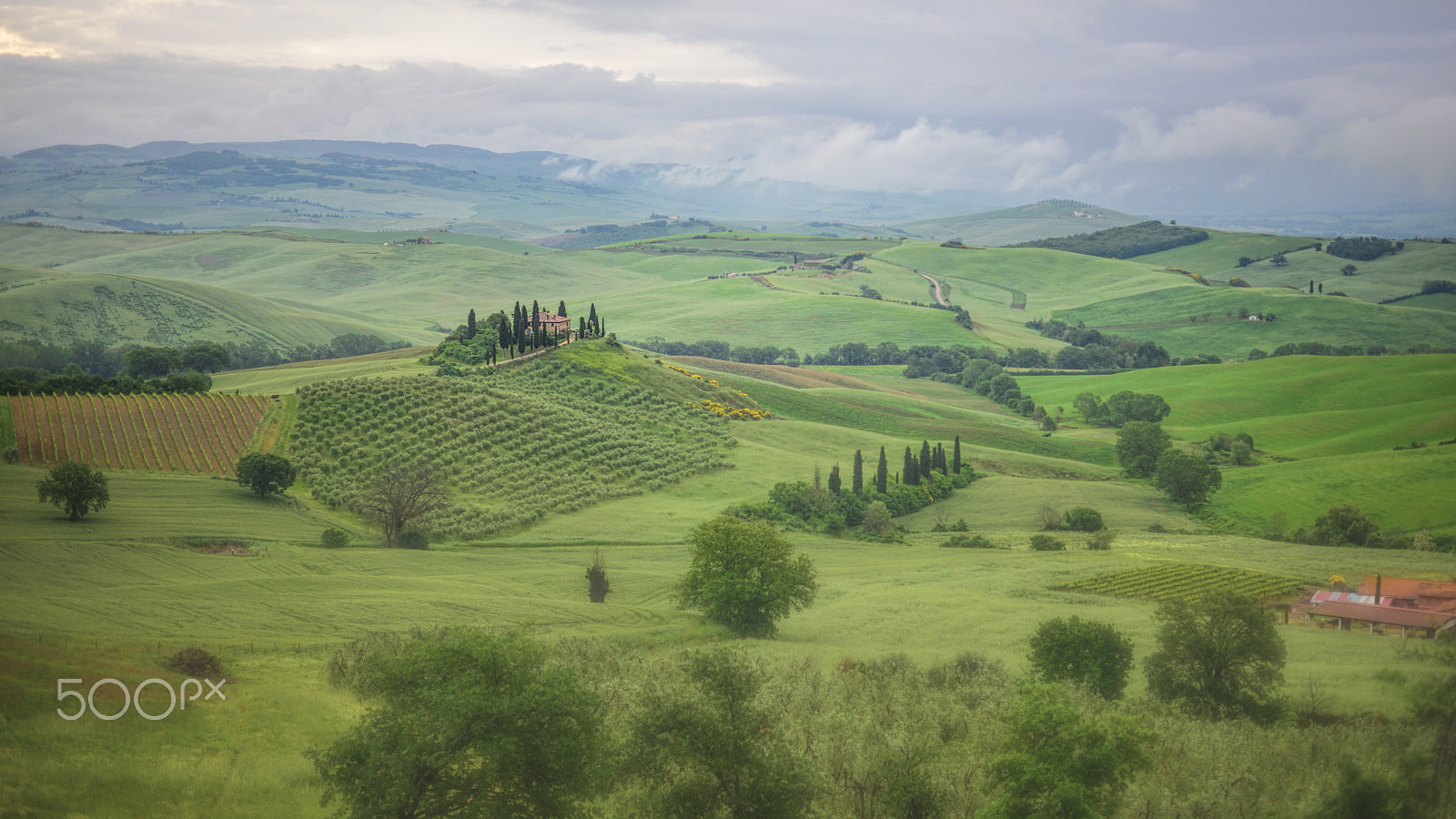 ZEISS Makro-Planar T* 50mm F2 sample photo. Podre belvedere photography