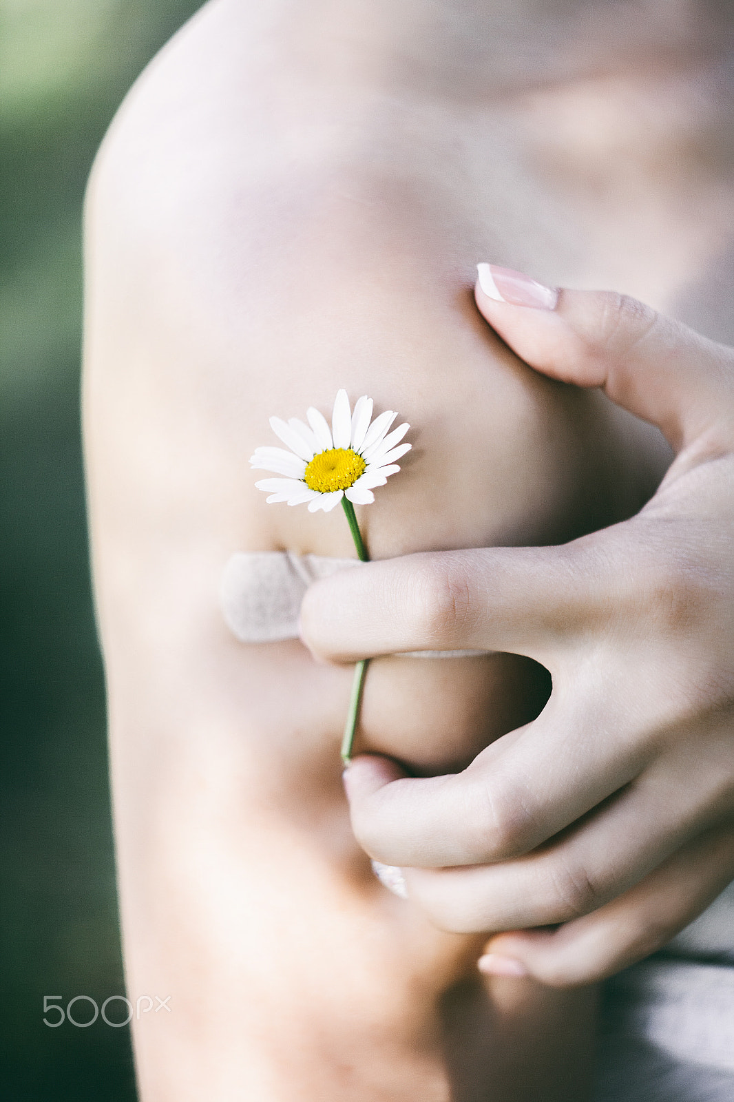 Canon EF 35-80mm f/4-5.6 sample photo. Flowers photography