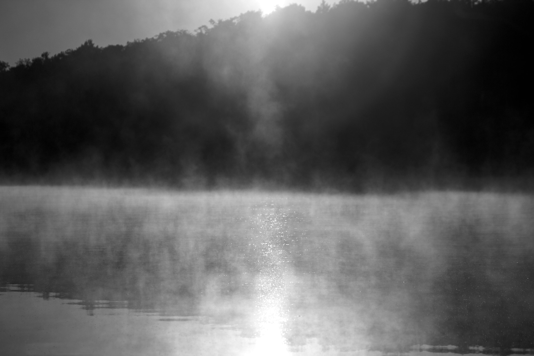 Canon EF 28-105mm f/3.5-4.5 USM sample photo. Moody fog photography