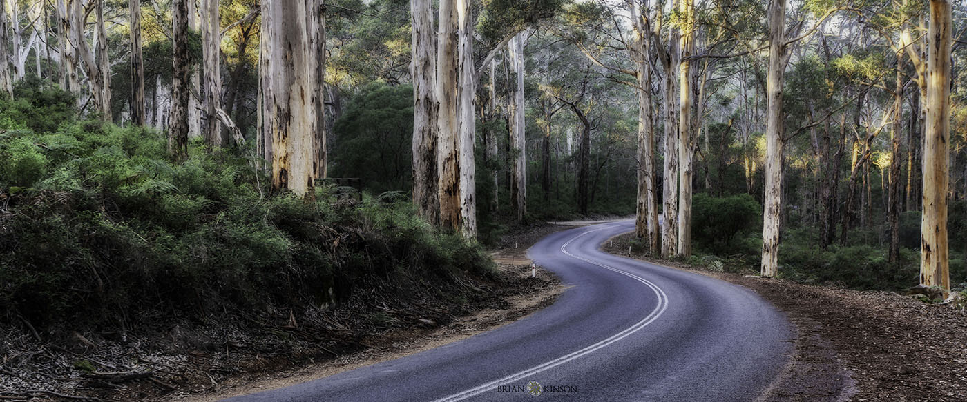 Sony a7R + 17-40mm F4 G SSM sample photo. Afternoon light photography